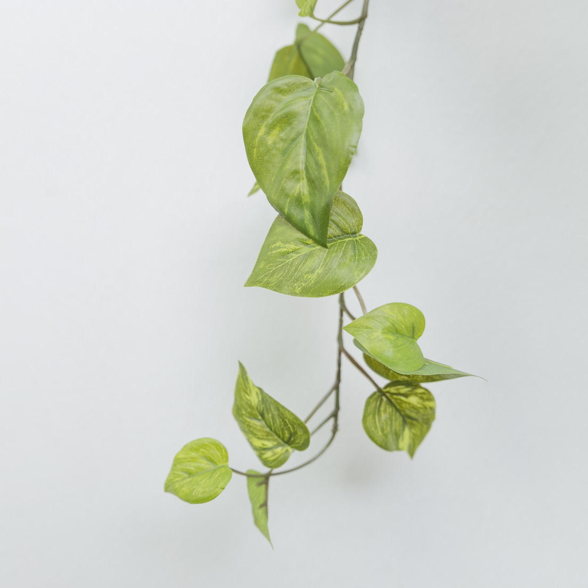 리얼 잎사귀 조화넝쿨 바인 105cm 스킨부쉬 그린/화이트