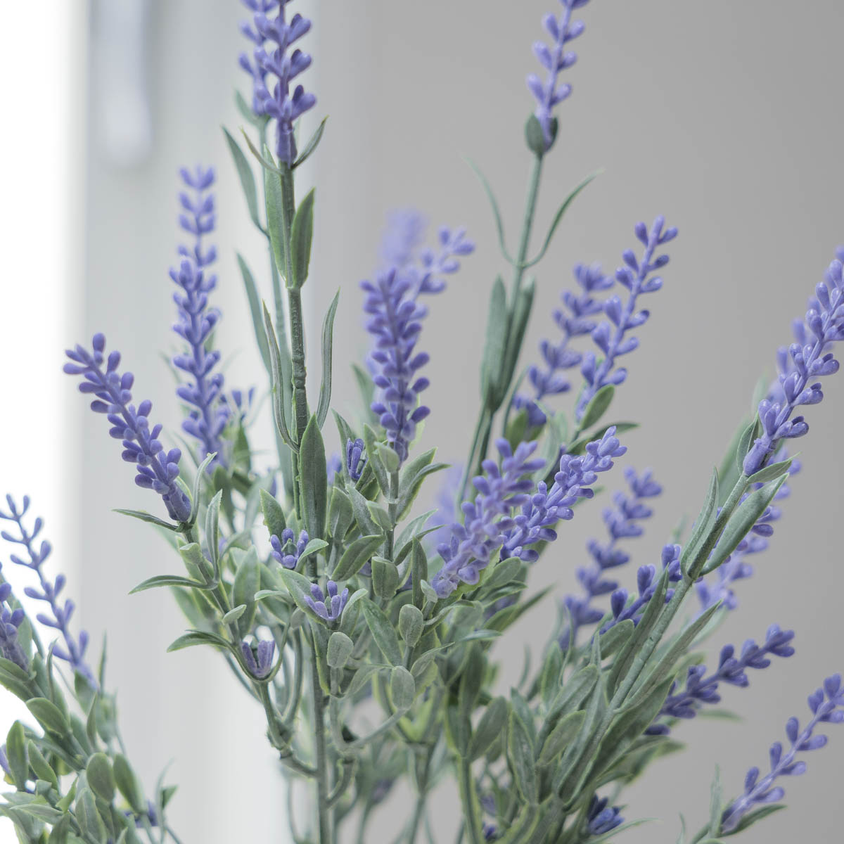 ½ÇÅ©Çöó¿ö ¶óº¥´õÁ¶È 7ÁÙ±â Á¶È ²É ºÎ½¬ ¶óÀÌÆ®ÆÛÇà ÀÚ¼¼È÷ º¸±â