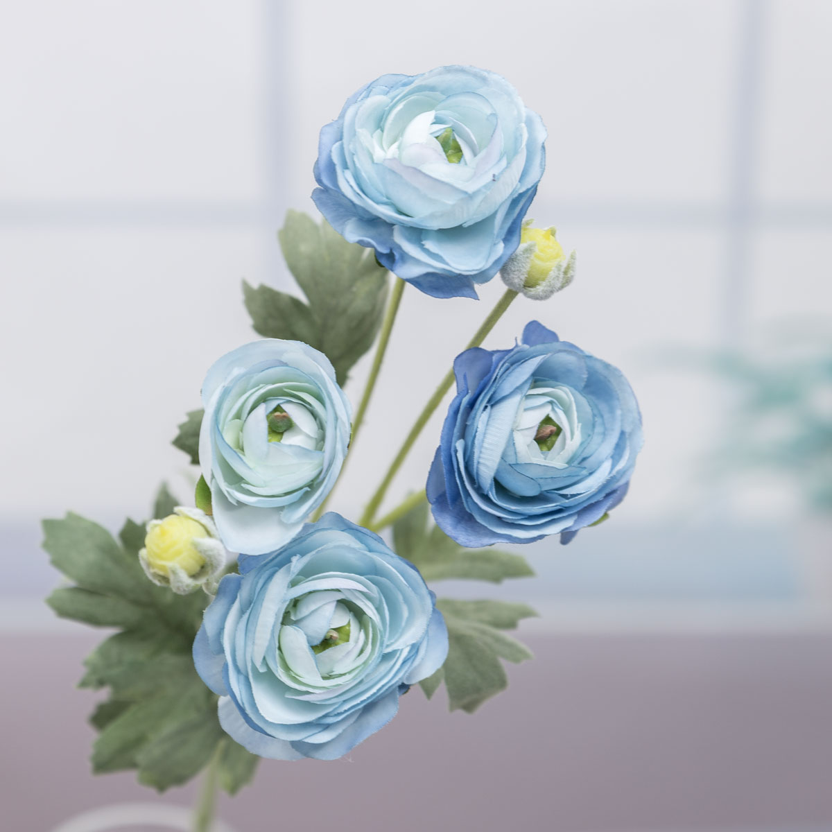 Blue  ̹