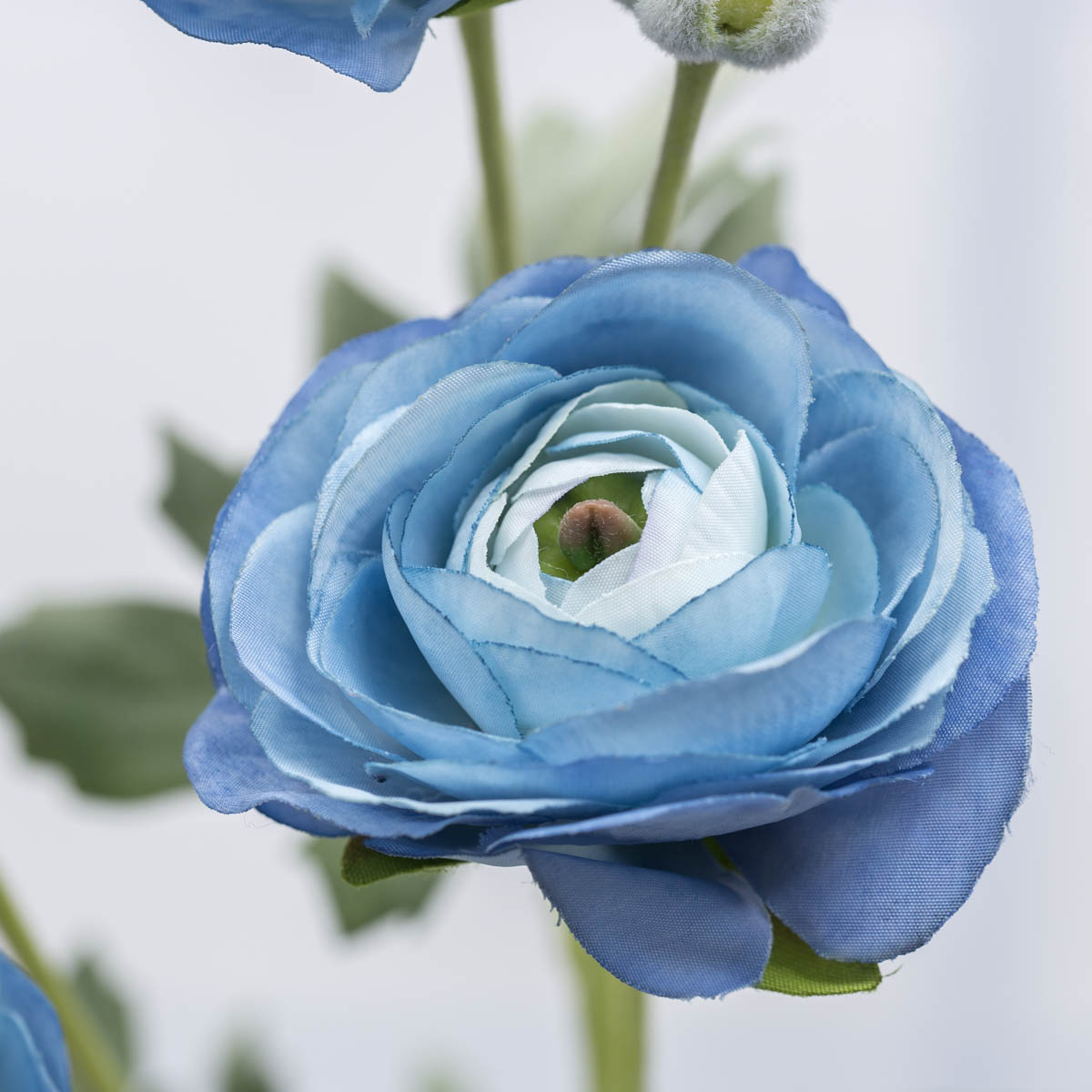Blue ɼ 