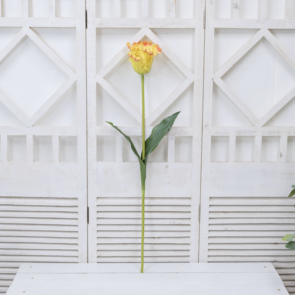 실크플라워 패롯 튤립 가지 80cm, 조화꽃 장식 상품 다중이미지 썸네일