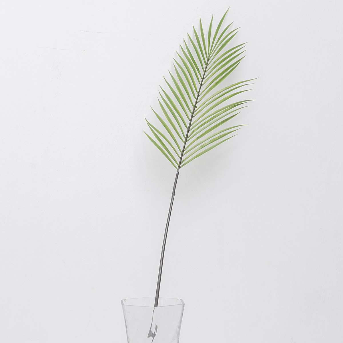      ȭ  95cm ʷ ö  ǰ ̹ 
