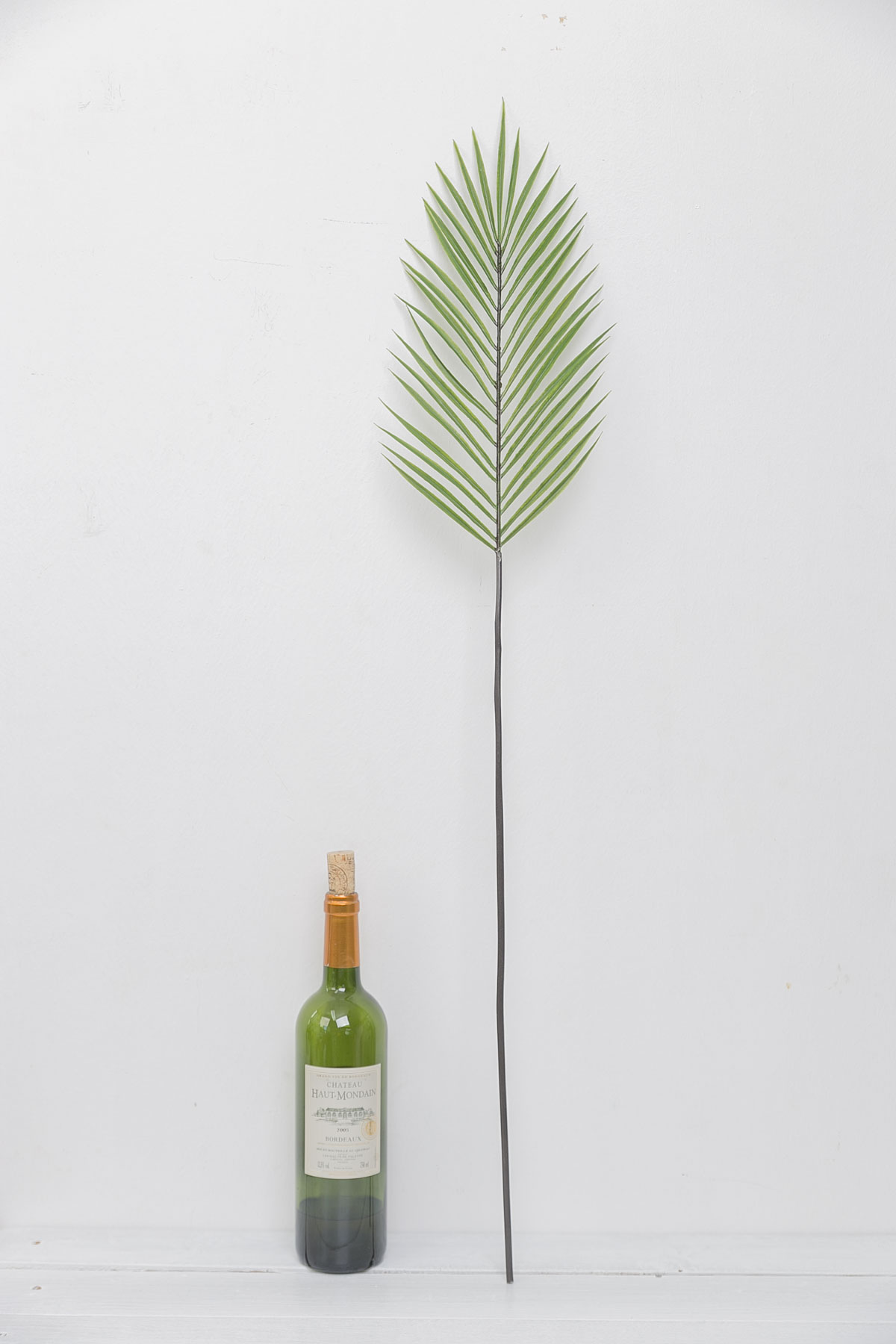      95cm 1ٱ ü  