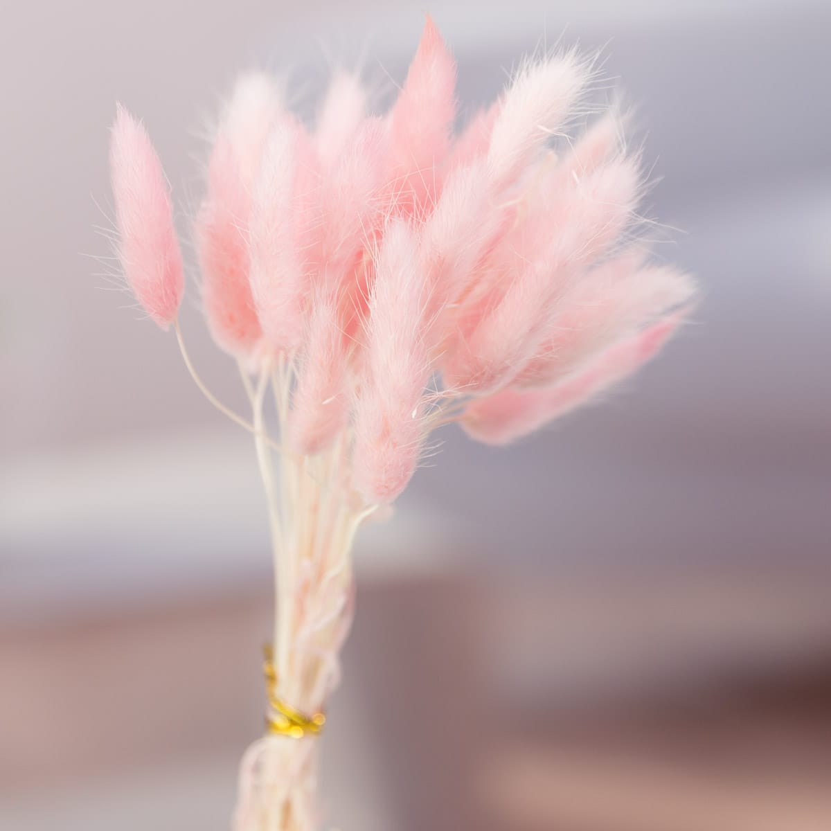 ö ٴ ׶  Ǯ 30P  ǰ ̹ 