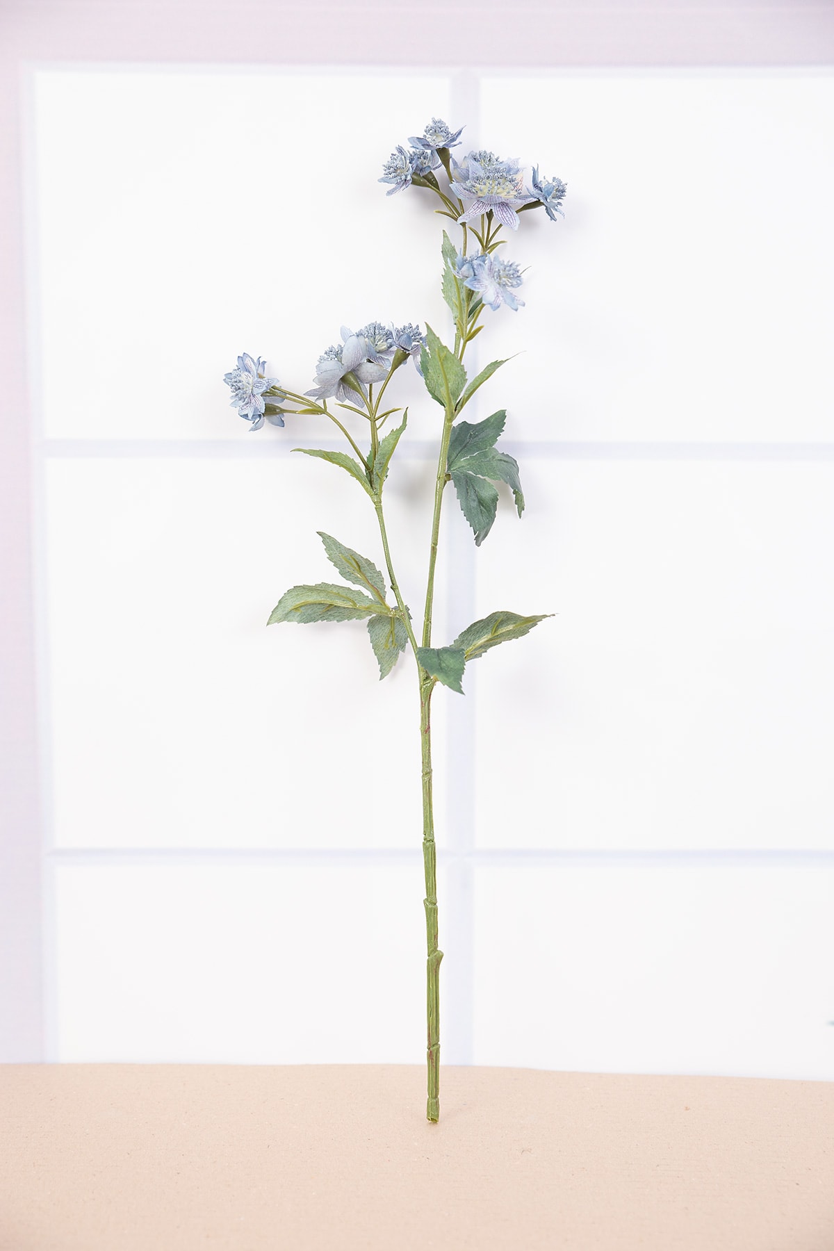 아스트란티아 조화꽃 가지 블루