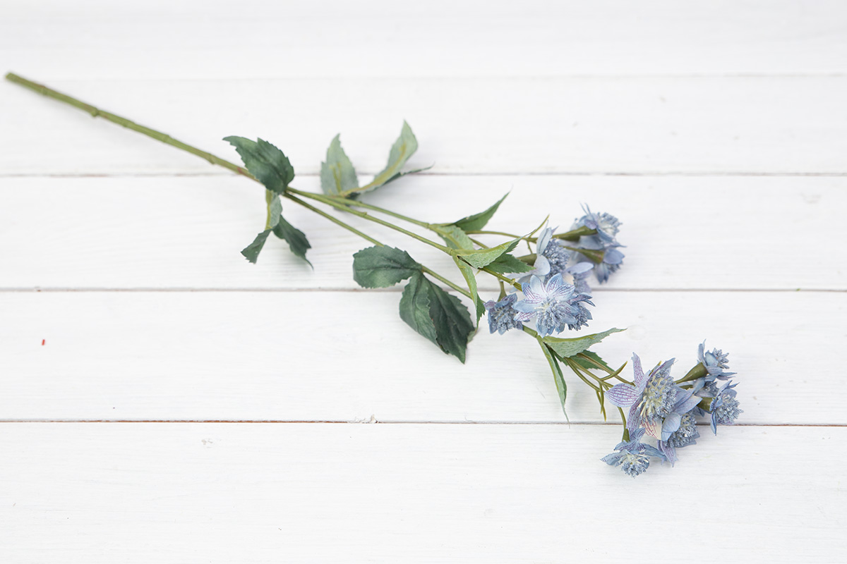 아스트란티아 조화꽃 가지 블루