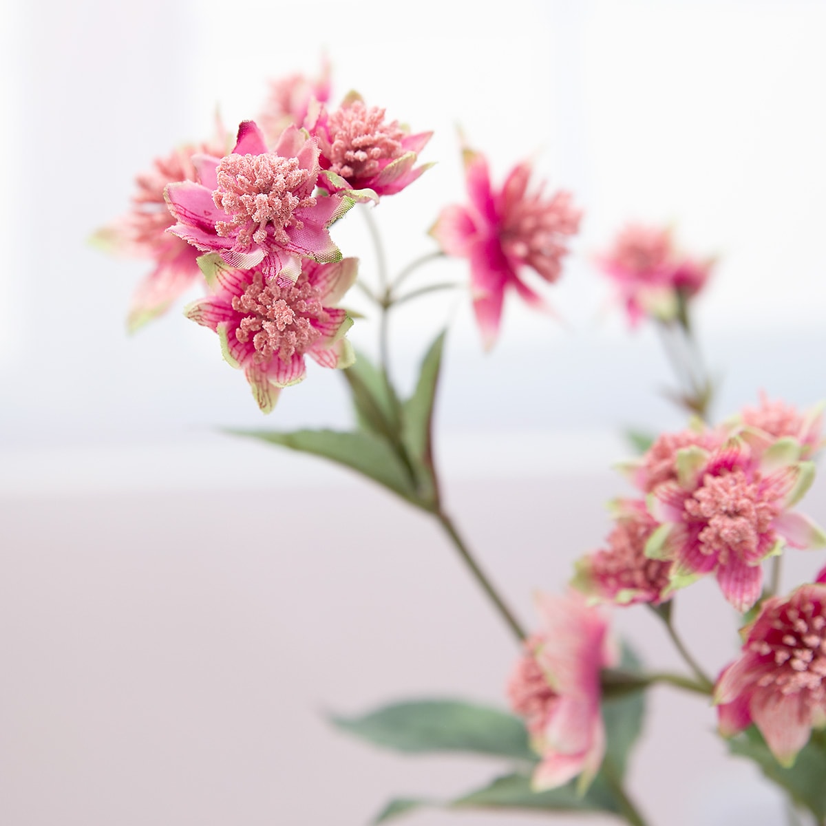 아스트란티아 조화꽃 가지 핑크