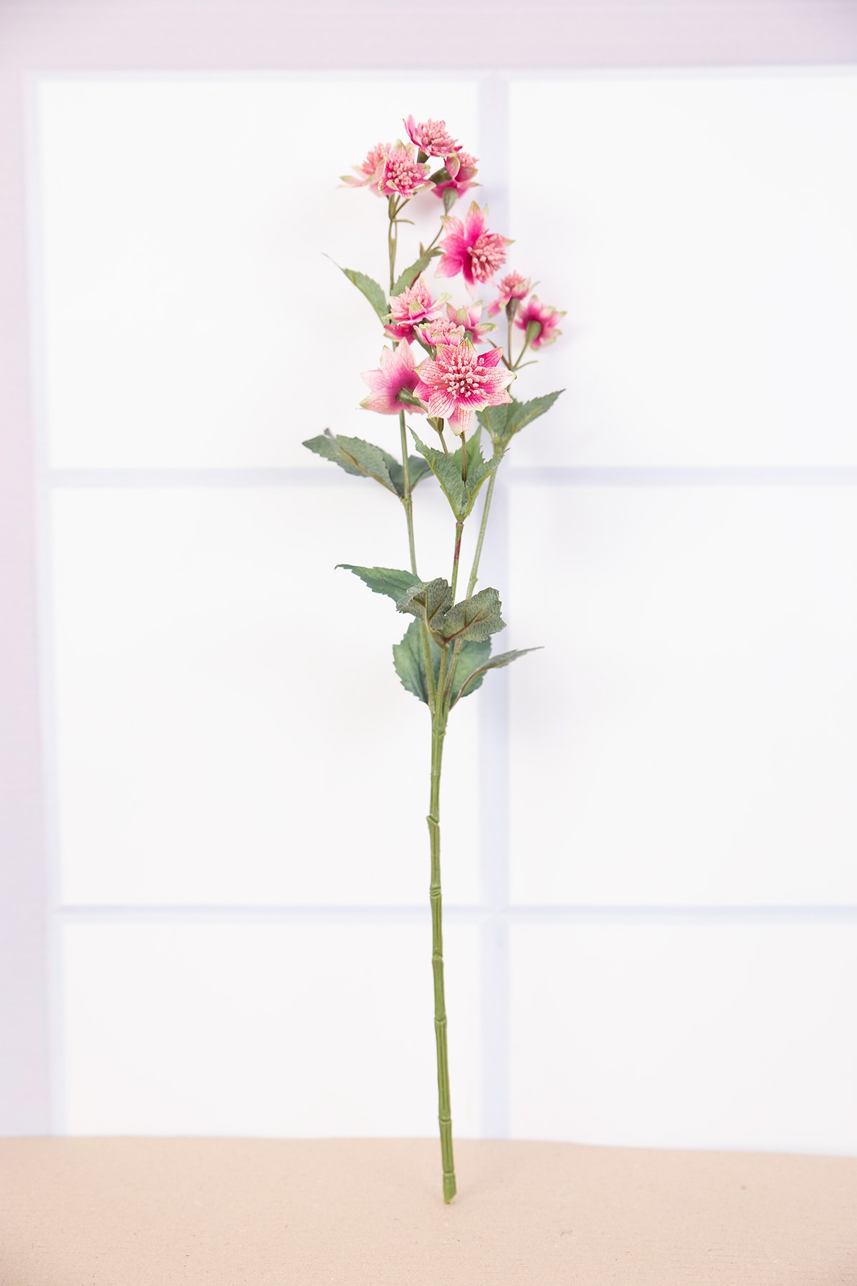 아스트란티아 조화꽃 가지 핑크