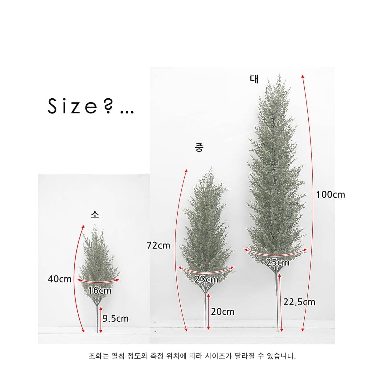 조화나무 골드크레스트 윌마(율마) 사이즈보기