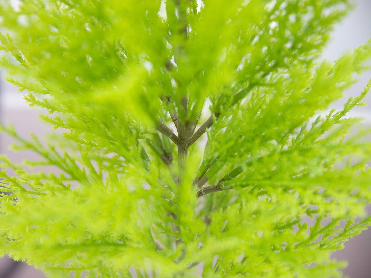 ũƮ ȭ   2