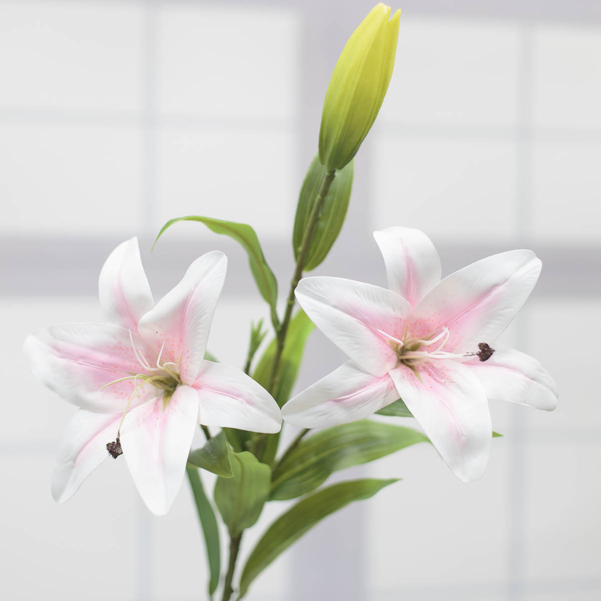 카사블랑카 백합 꽃 가지 화이트/핑크