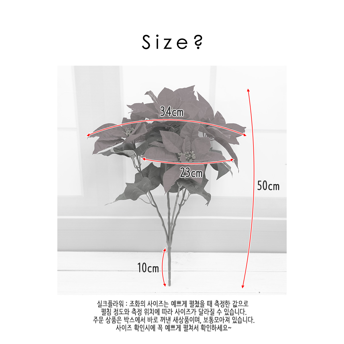  μƼ ȭ ν 50cm 