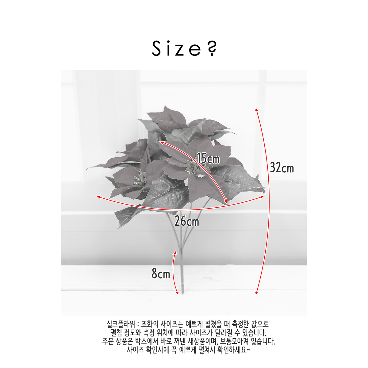  μƼ ȭ ν 32cm 