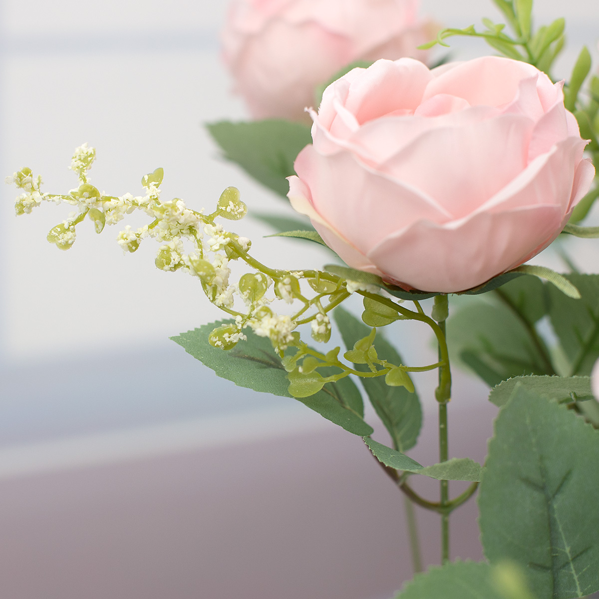 잉글리시 줄리엣 장미 꽃 부쉬 핑크