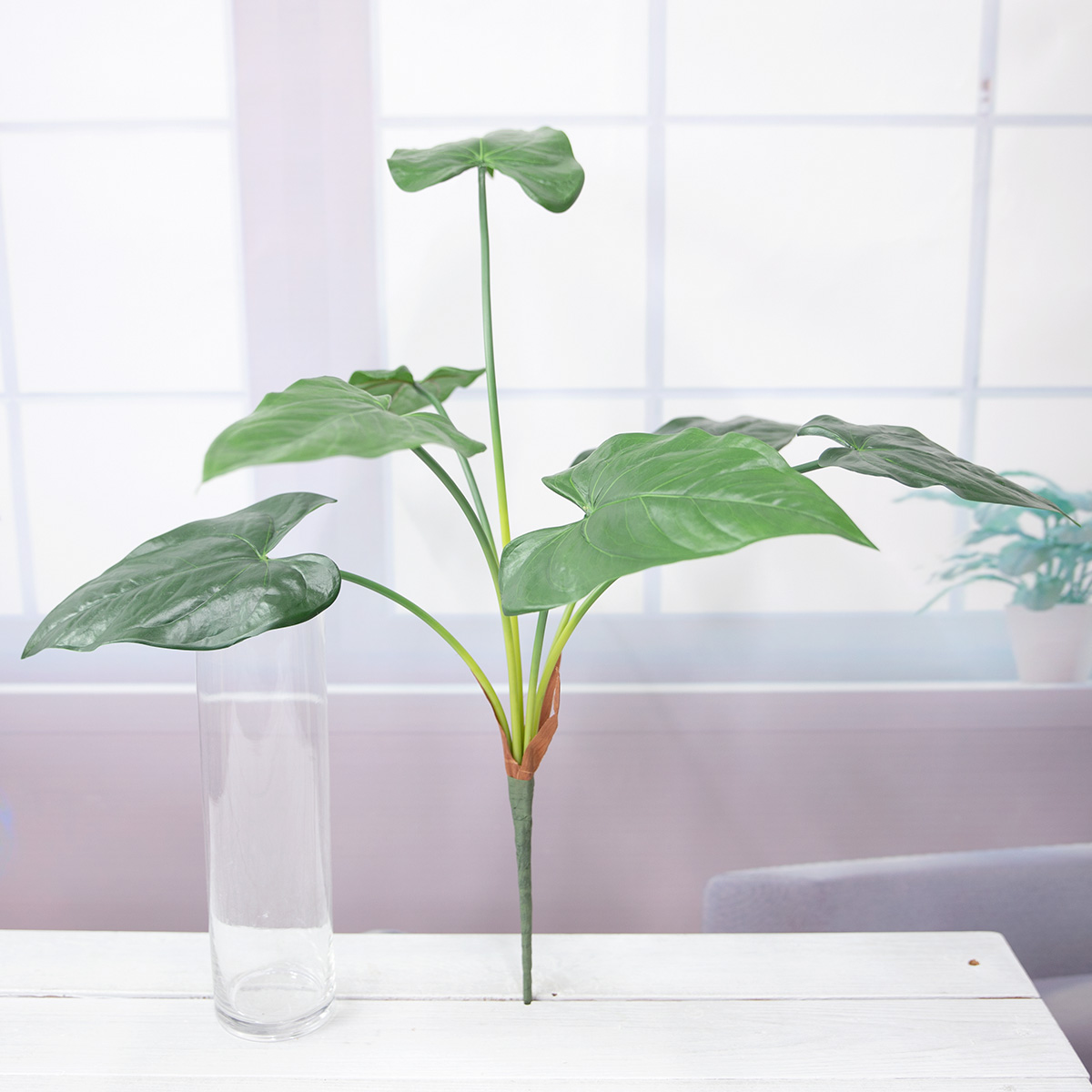 인조식물 알로카시아 부쉬 65cm, 잎사귀 조화 실내조경 상품 다중이미지 썸네일
