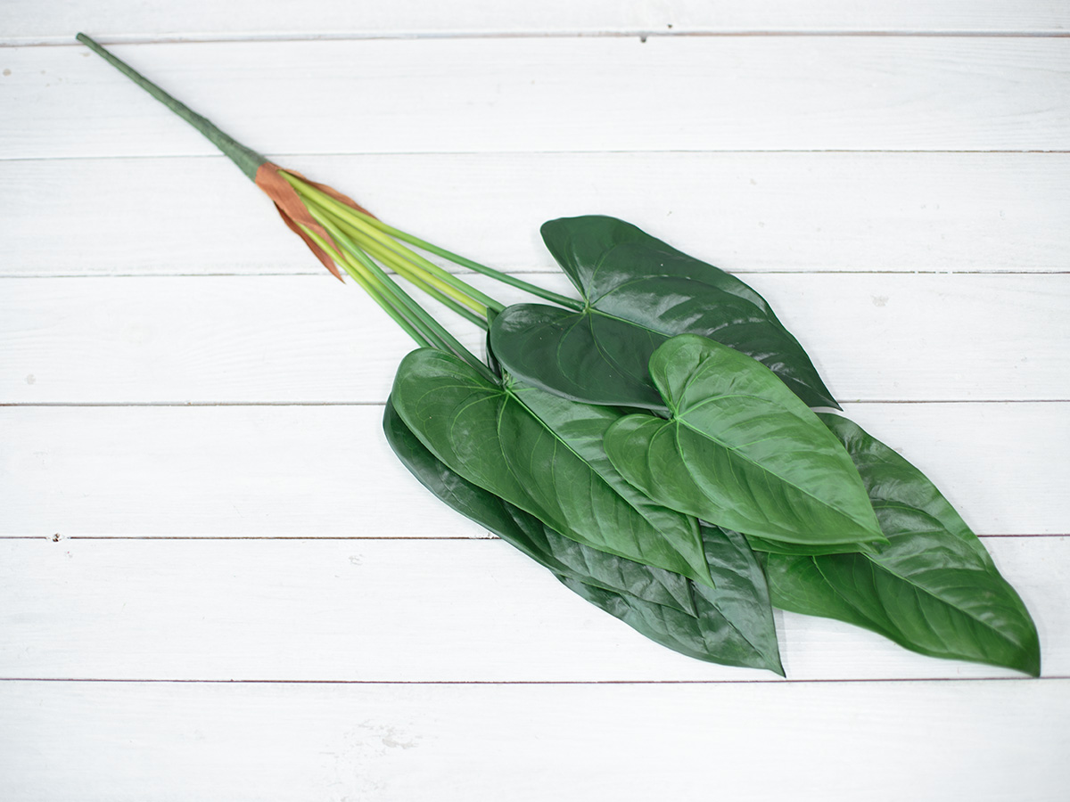 인조식물 알로카시아 부쉬 65cm, 잎사귀 조화 실내조경 상품 다중이미지 썸네일