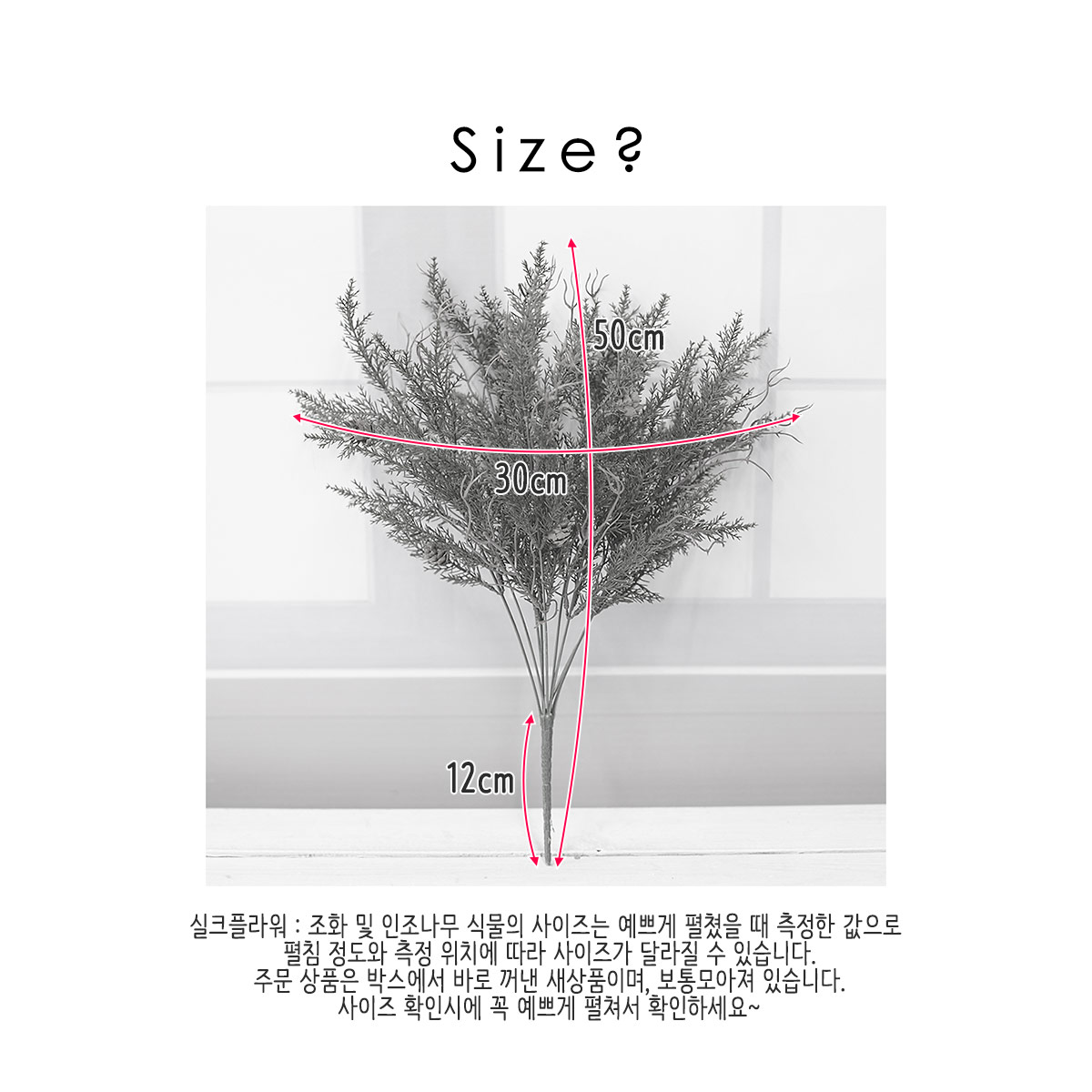  ٻ ׸ ֹ ȭν 50cm  
