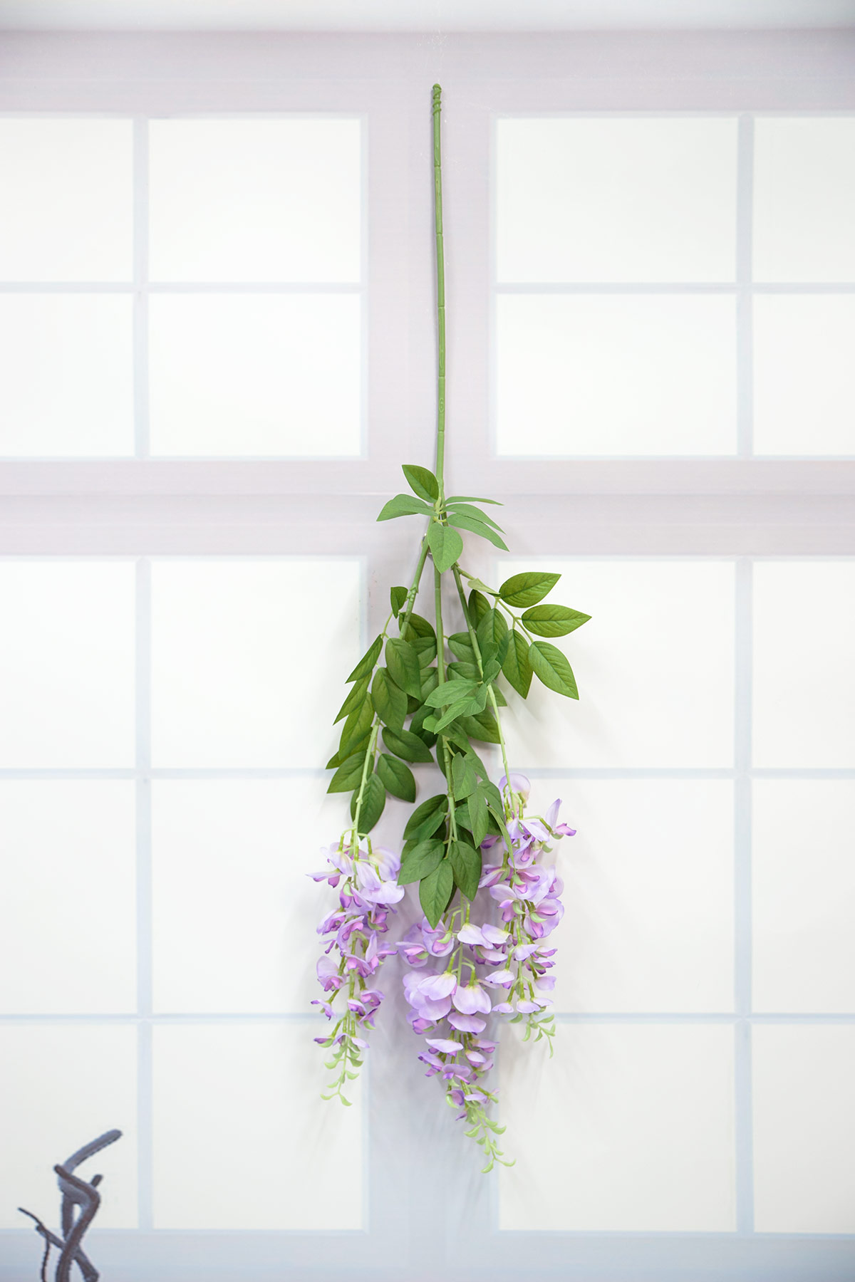 라일락 등꽃가지 거꾸로 벽에 걸어놓은 사진