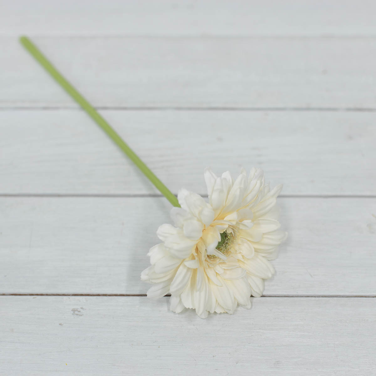 ũö  źȭ Ѽ ȭ  31cm  ɴٹ  ǰ ̹ 
