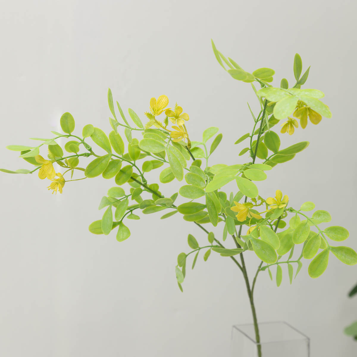 실크플라워 아카시아조화 잎사귀 꽃가지 라이트그린 80cm 옐로우