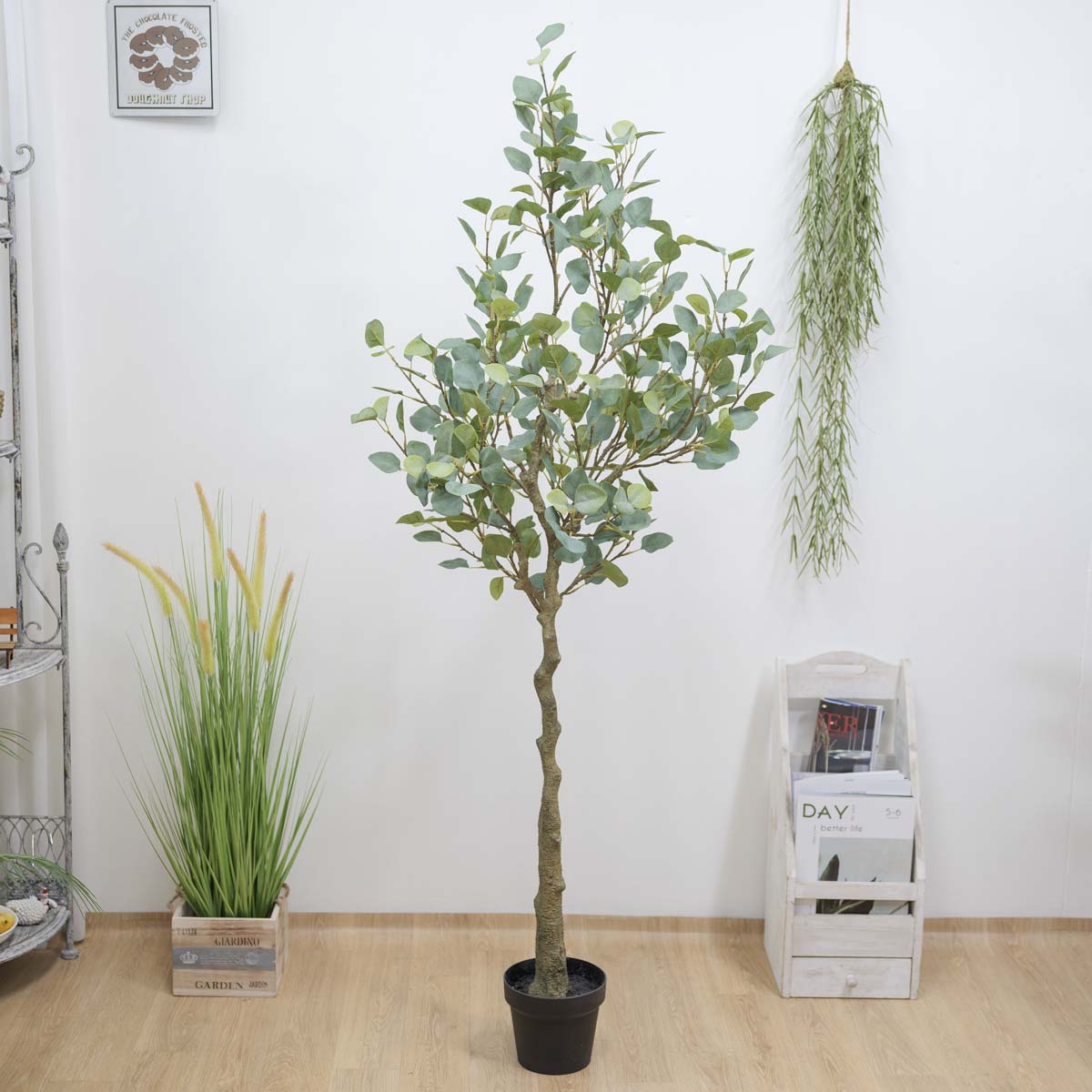 ȭ Į Ʈ 165cm ̴׷ 