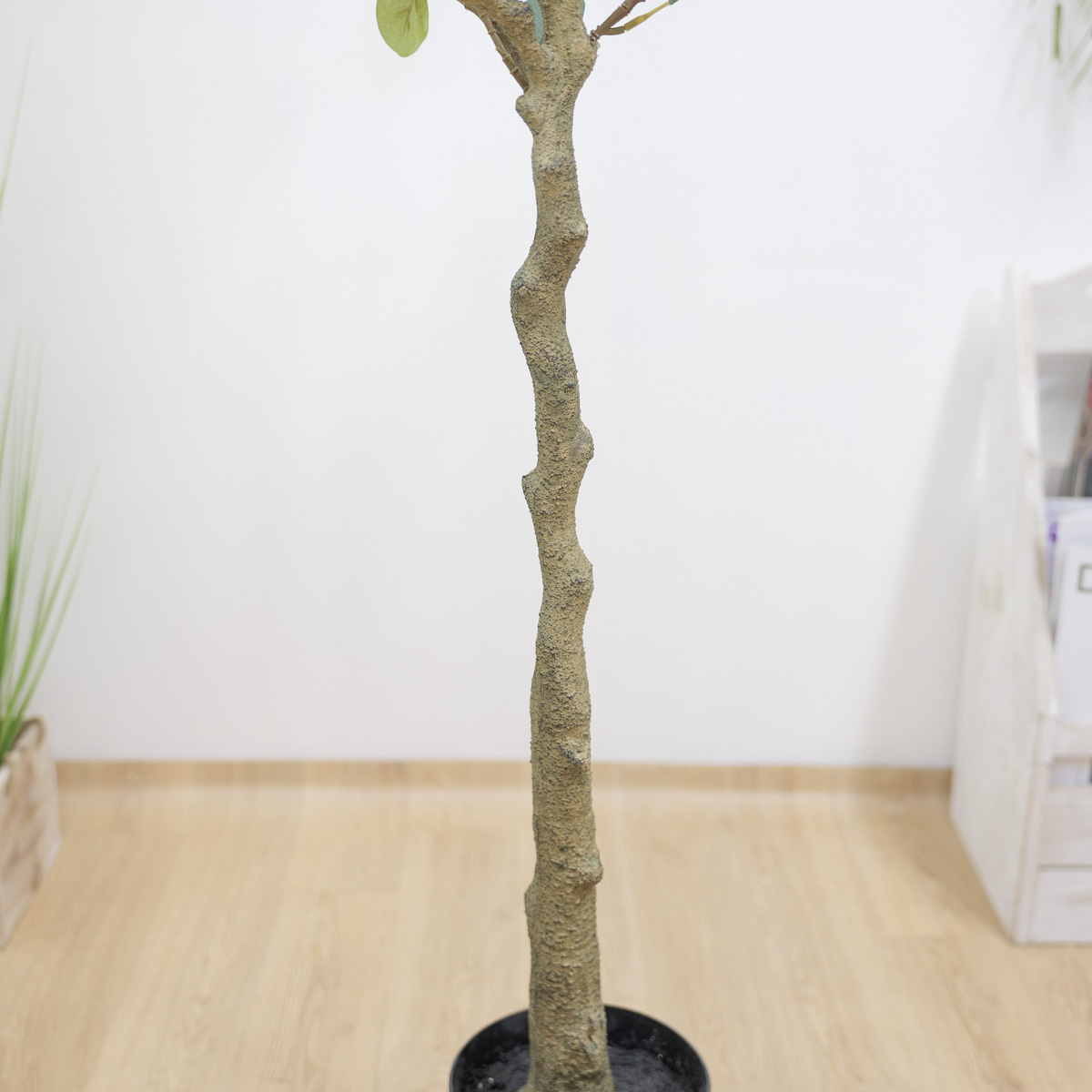 ȭ Į Ʈ 165cm