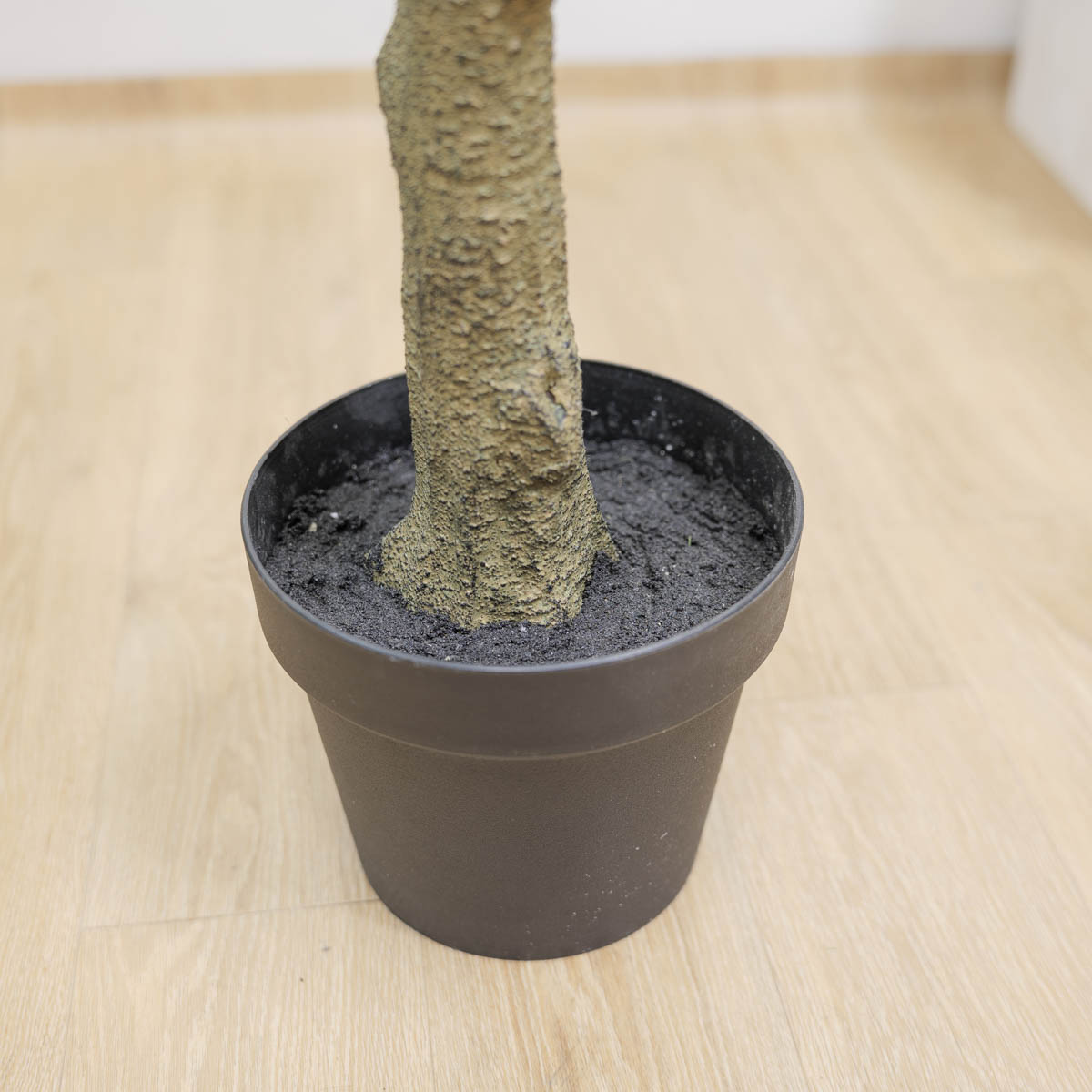 ȭ Į Ʈ 165cm