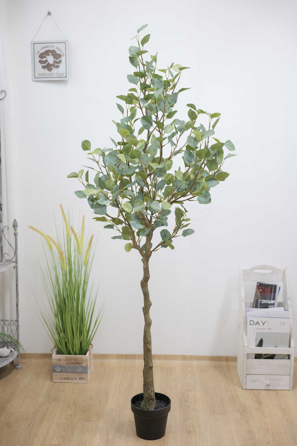 ȭ Į Ʈ 165cm