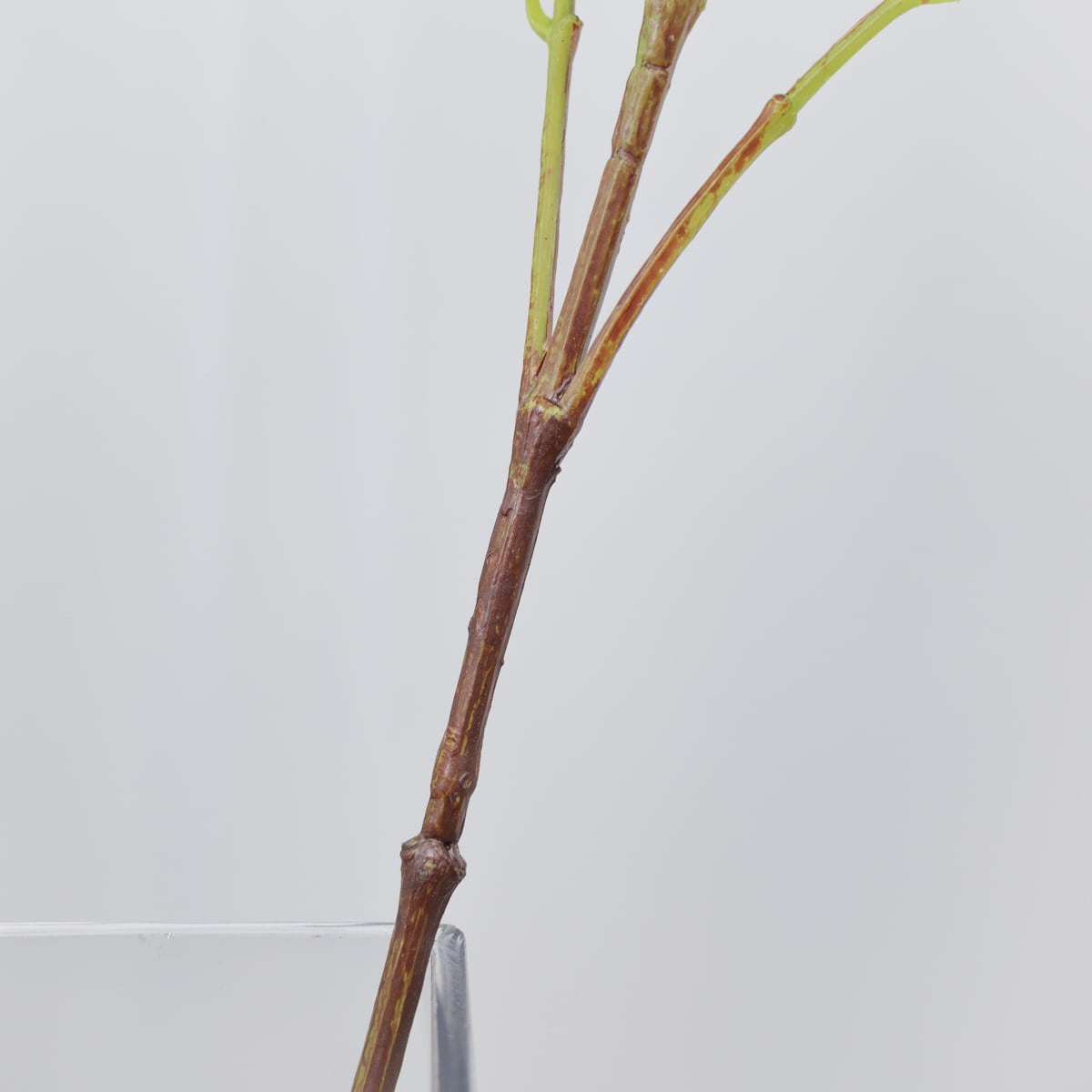 실크플라워 스노우볼 나무수국 꽃 가지 94cm