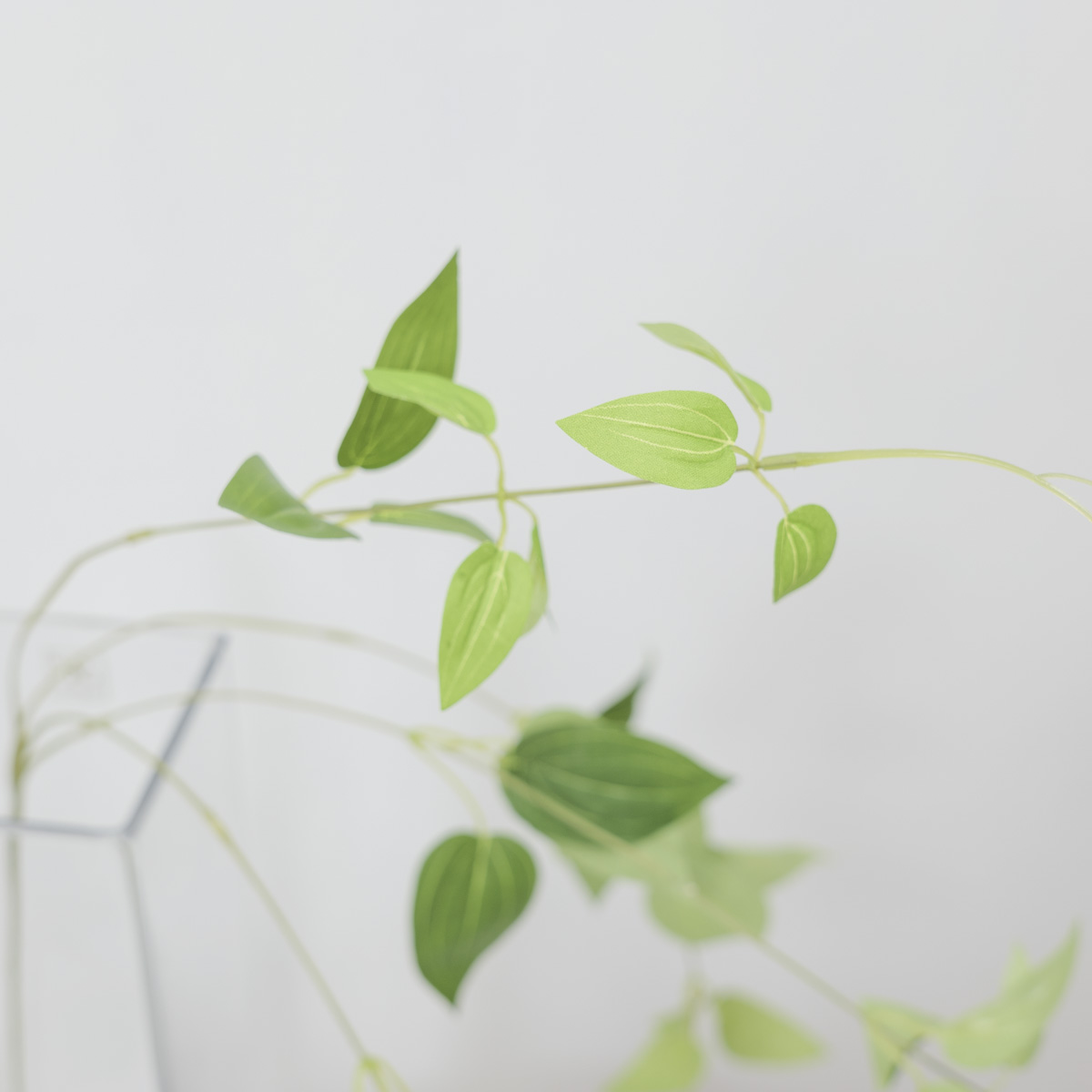 실크플라워 클레마티스조화 잎사귀 넝쿨조화 130cm 작은 잎사귀 디테일