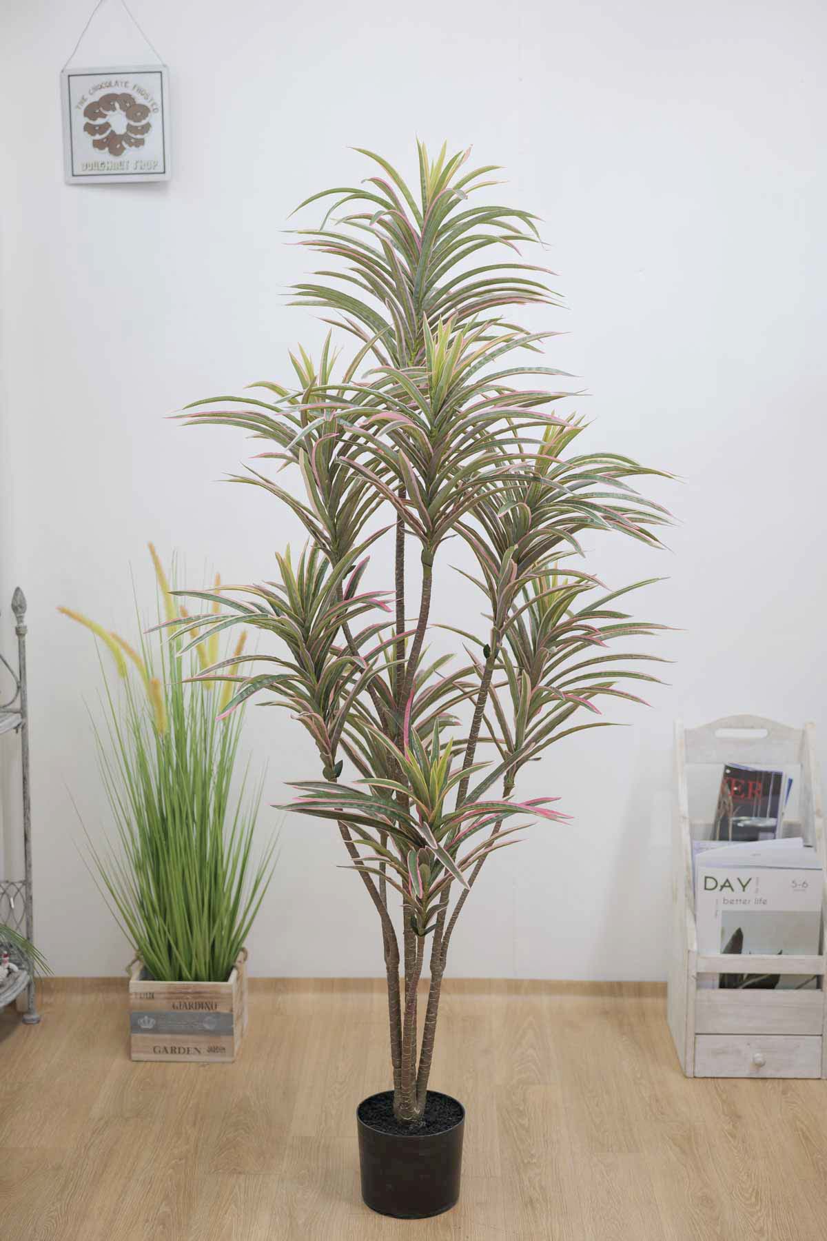 ȭ 󼼳 Ÿ 忡 156cm Ʈ