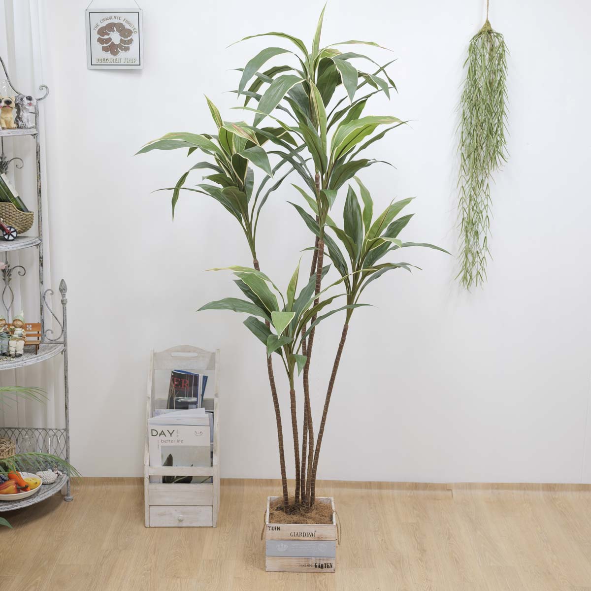 ȭ 5 ڵ 170cm 簢ȭ(L), ȭ̹,  Ʈ