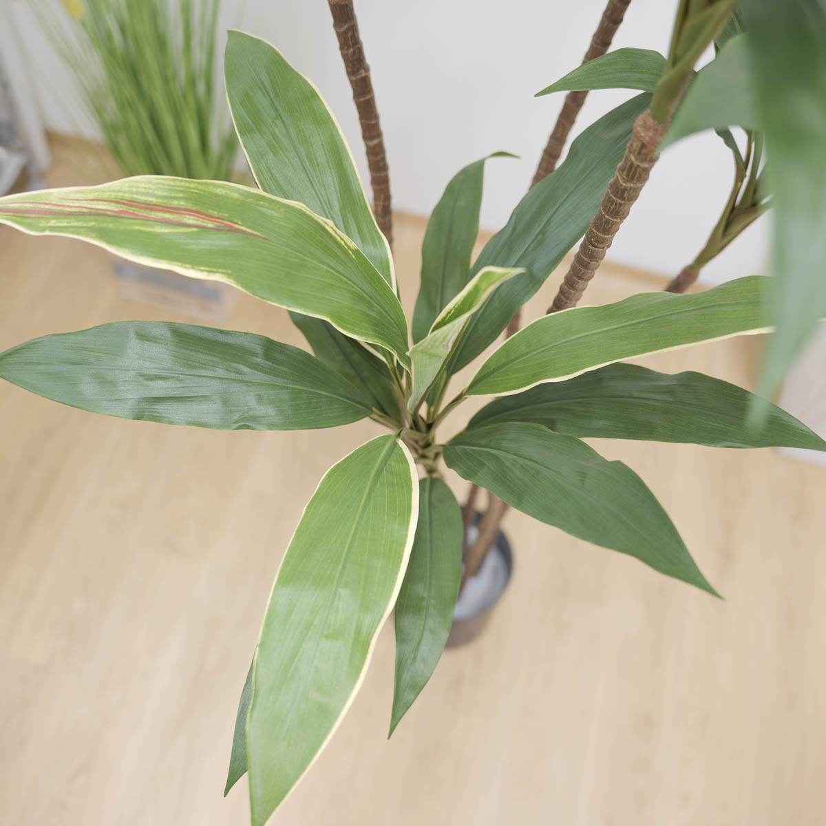 ȭ 5 ڵ 170cm 簢ȭ(L), ȭ̹,  Ʈ