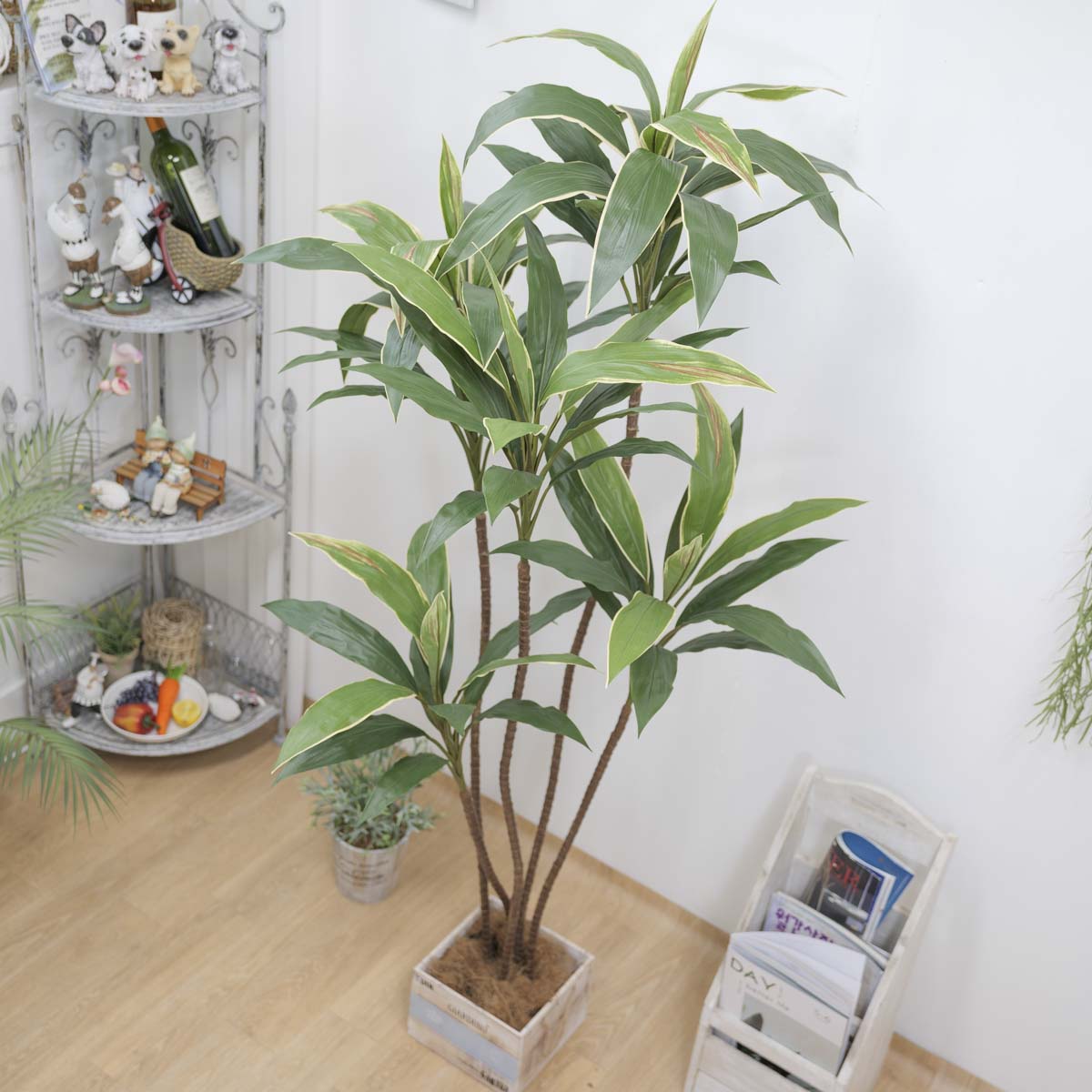 ȭ 5 ڵ 170cm 簢ȭ(L), ȭ̹,  Ʈ
