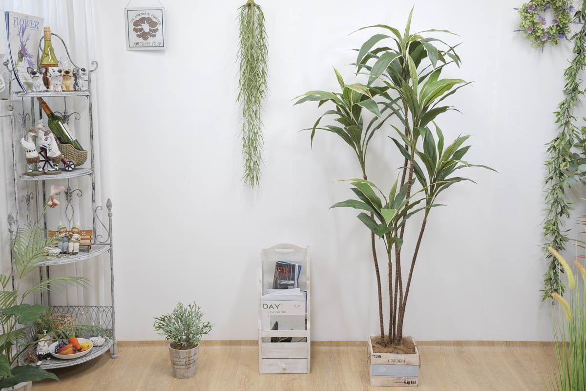ȭ 5 ڵ 170cm 簢ȭ(L), ȭ̹,  Ʈ