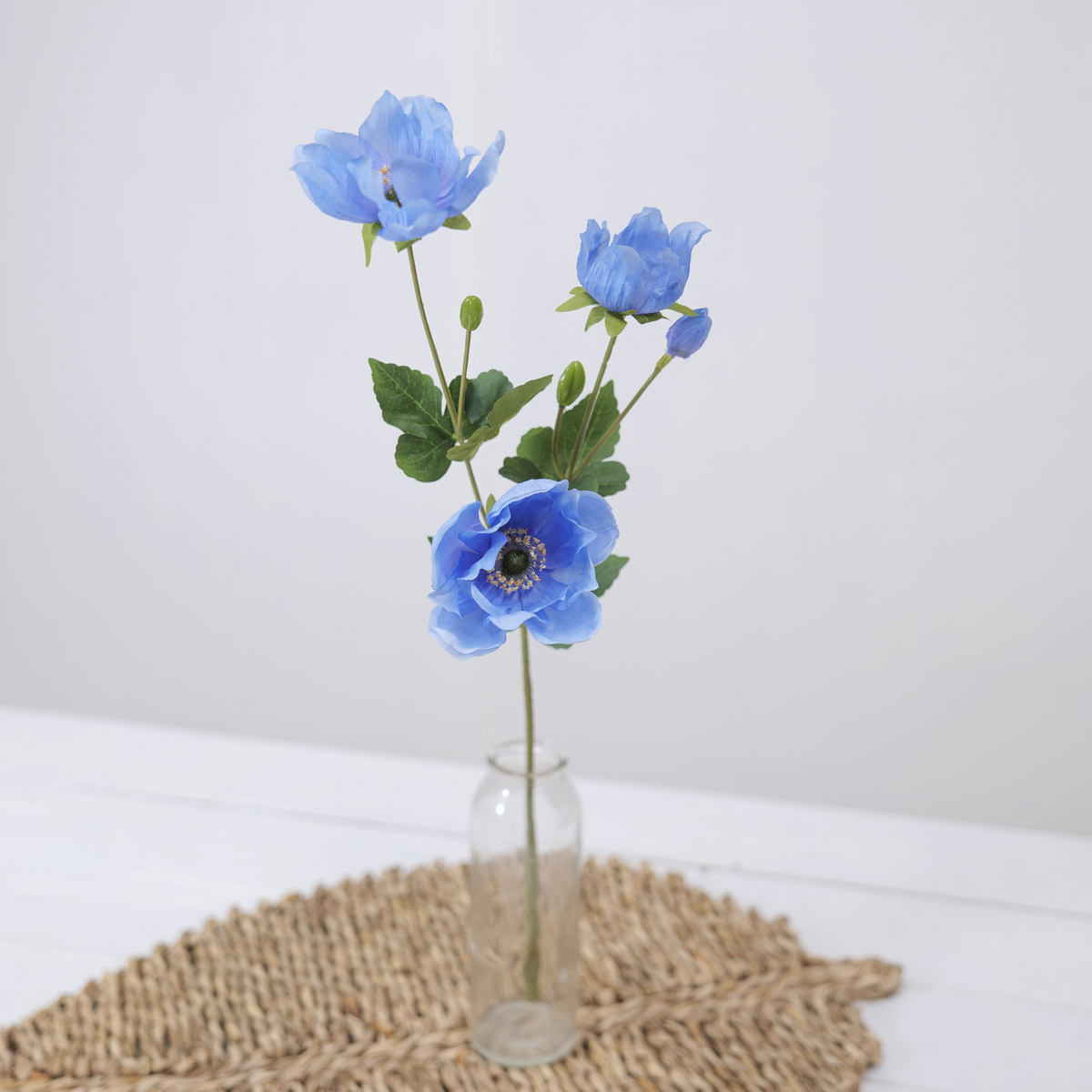 ũö Ƴ׸ ȭ  50cm 
