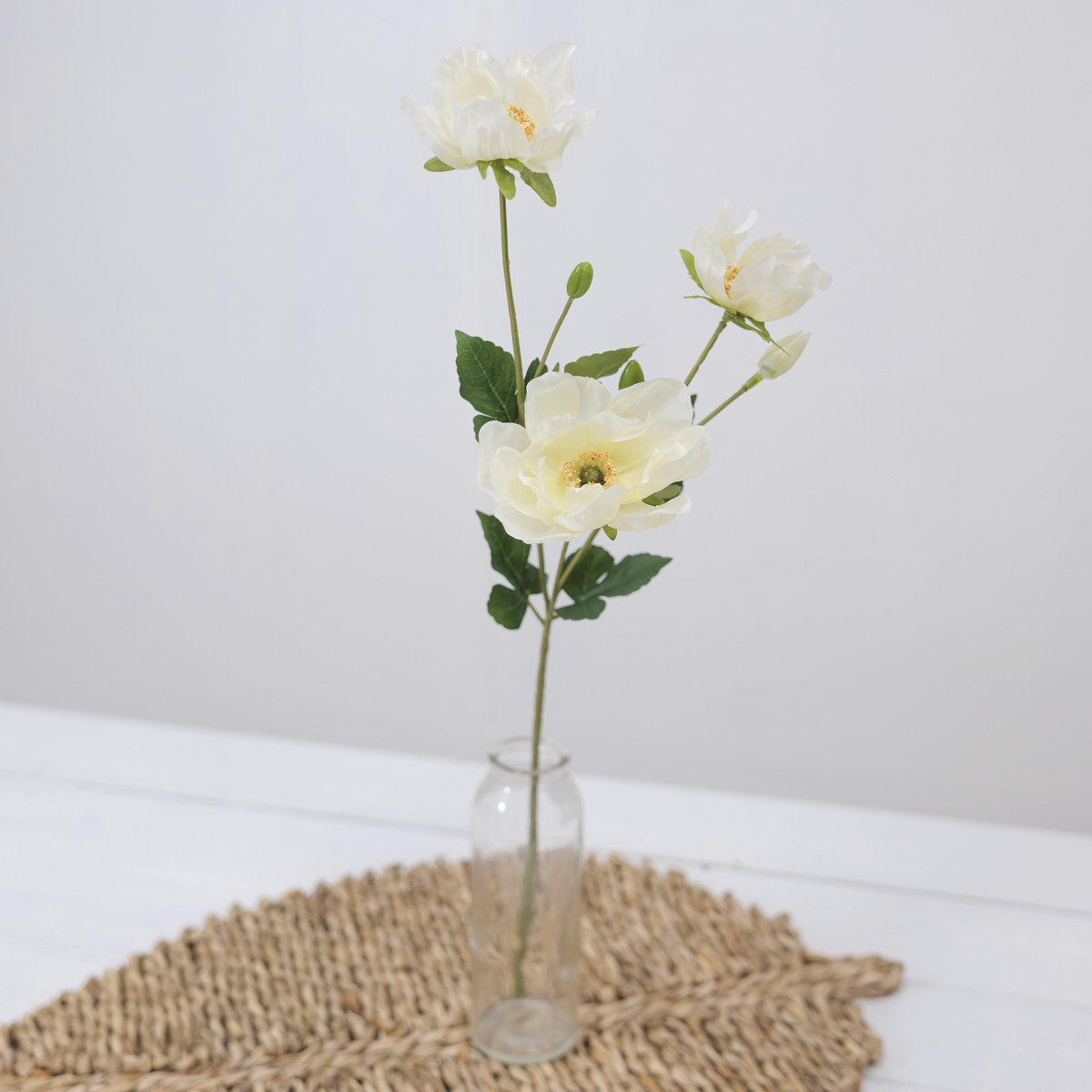 ũö Ƴ׸ ȭ  50cm ũ