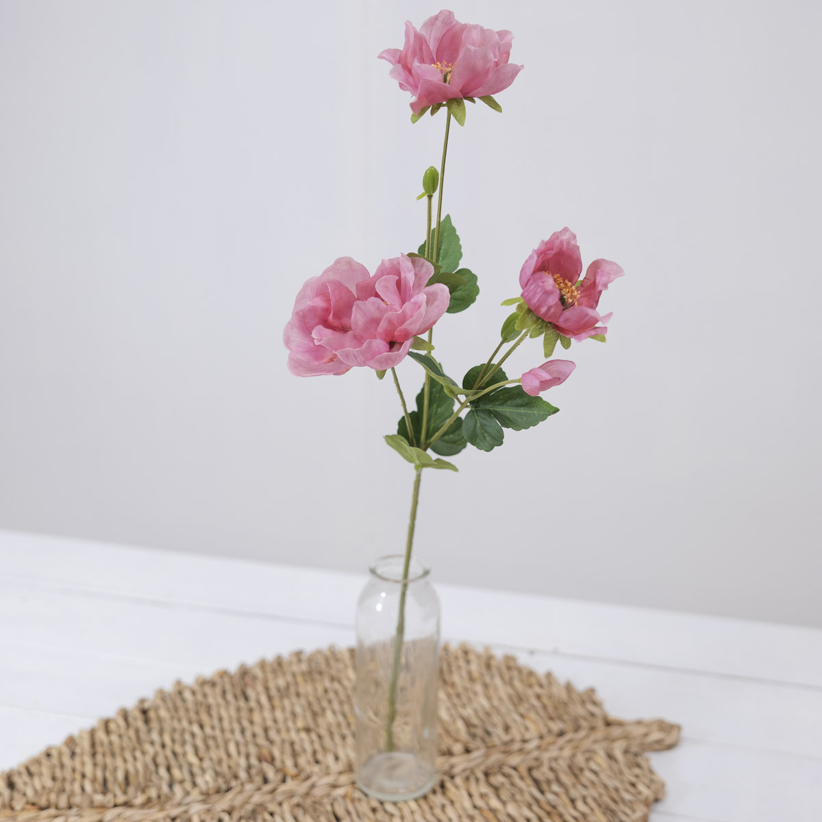 ũö Ƴ׸ ȭ  50cm  ȭ  