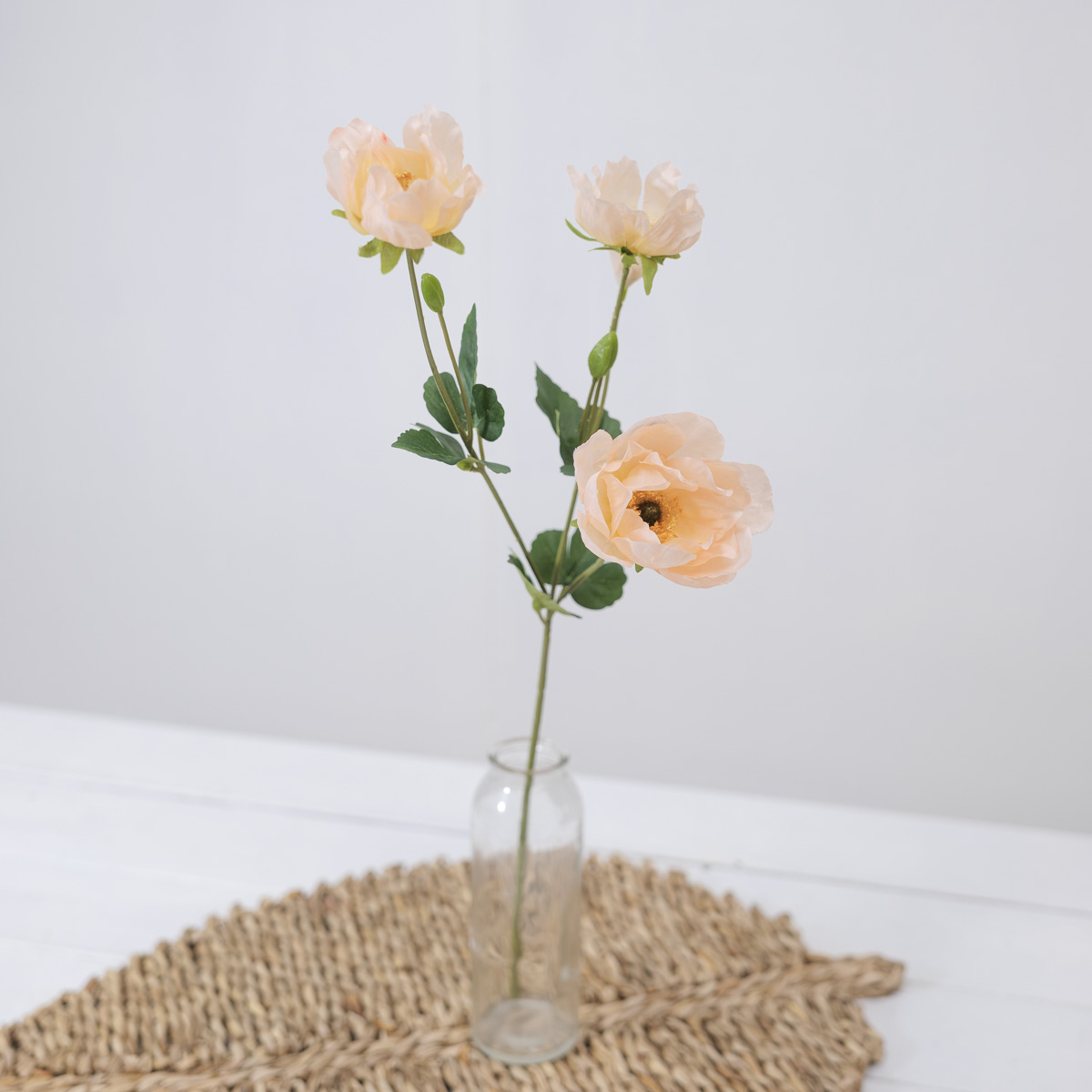ũö Ƴ׸ ȭ  50cm ġ ȭ  