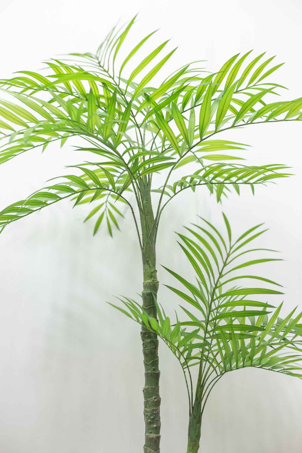 인조나무 아레카야자수 2단 145cm 블랙포트 아레쪽 에서 본 사진