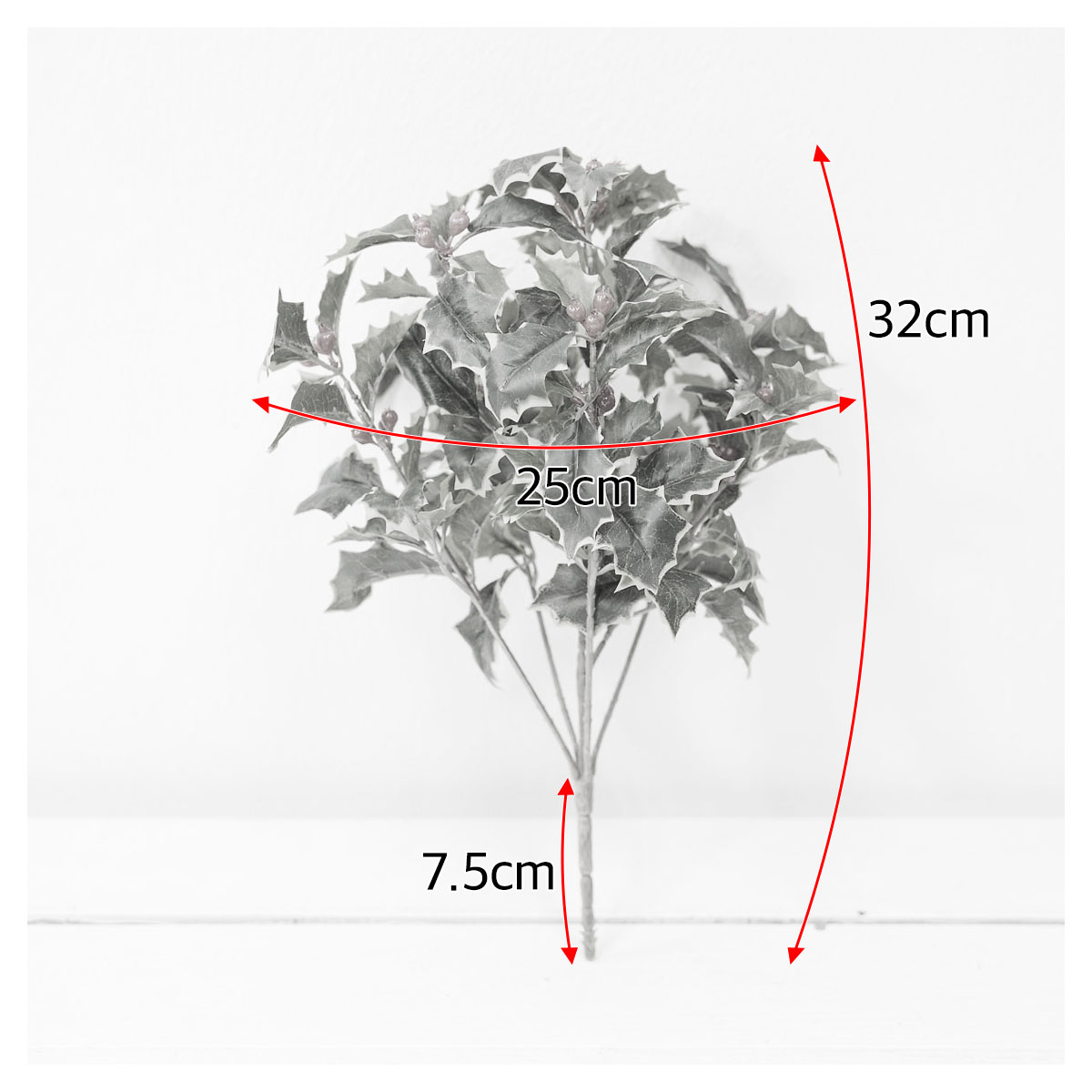 ũȭ  Ȧ ȭν 32cm  ׸/ȭƮ 