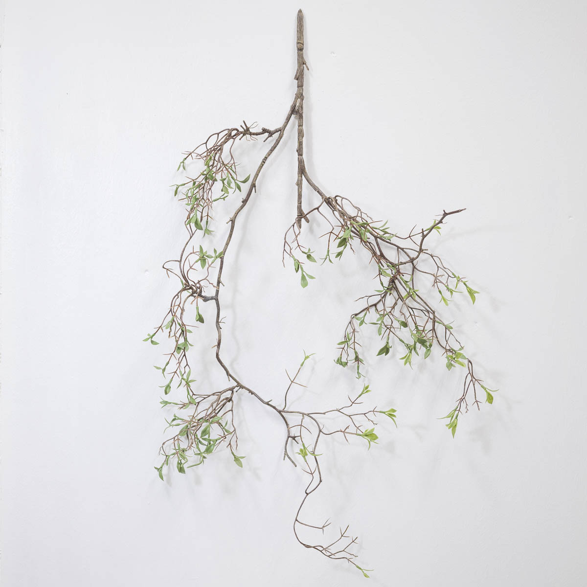 조화식물 버드나무 새순잎 바인 벽에 걸어놓은 사진