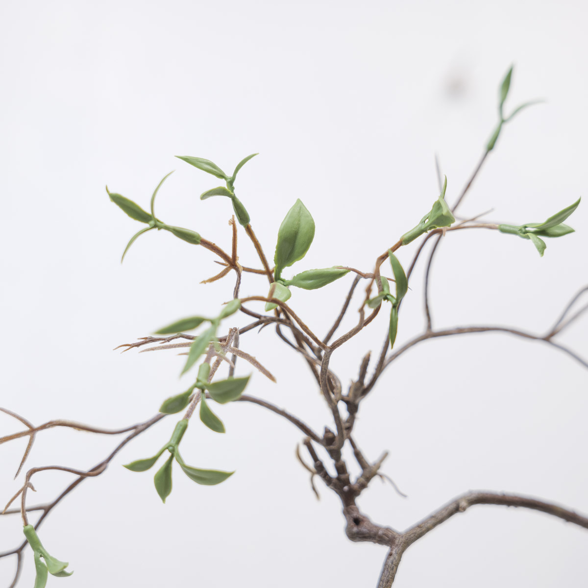 조화식물 버드나무 새순잎 바인 새순잎디테일