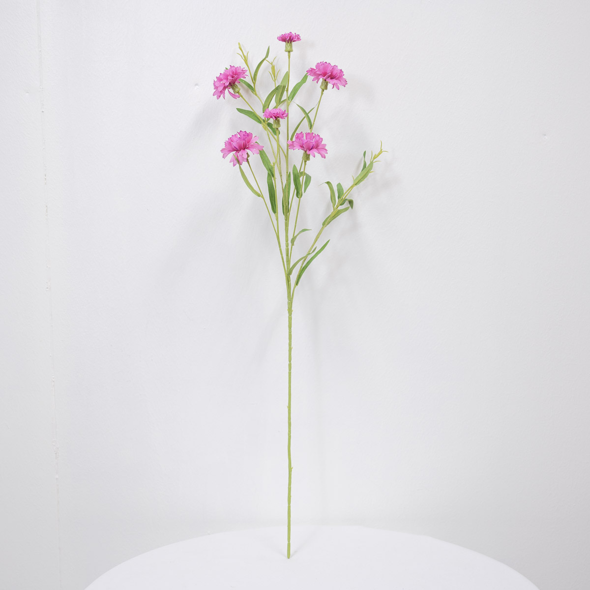 실크플라워 수레국화 조화꽃 가지 73cm 뷰티 세워놓은사진