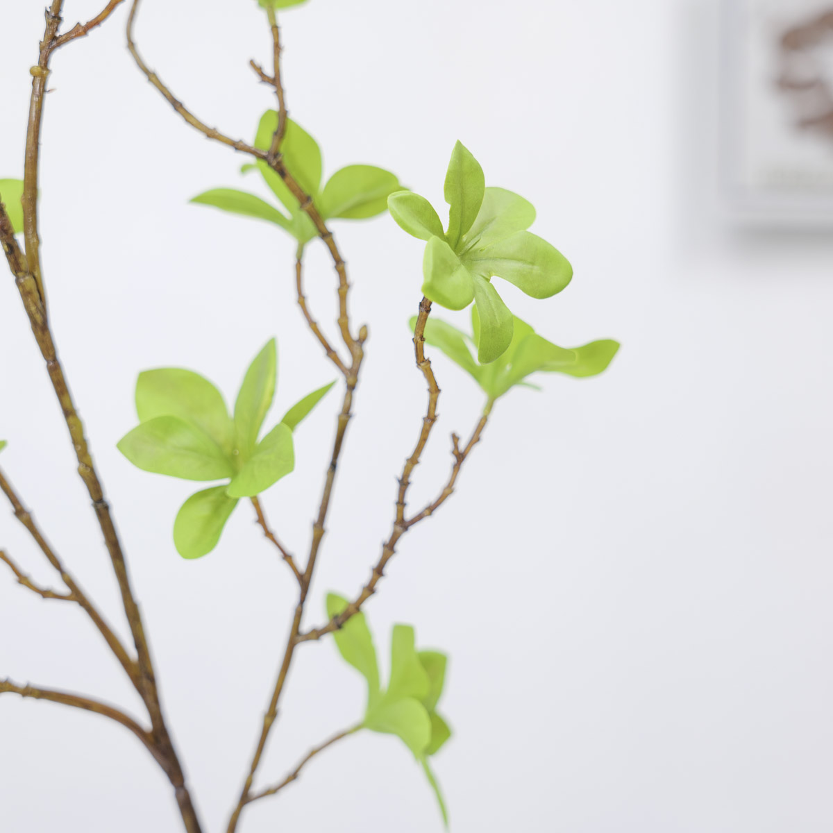 조화식물 엔키안투스 나무 가지 110cm 잎줄기디테일