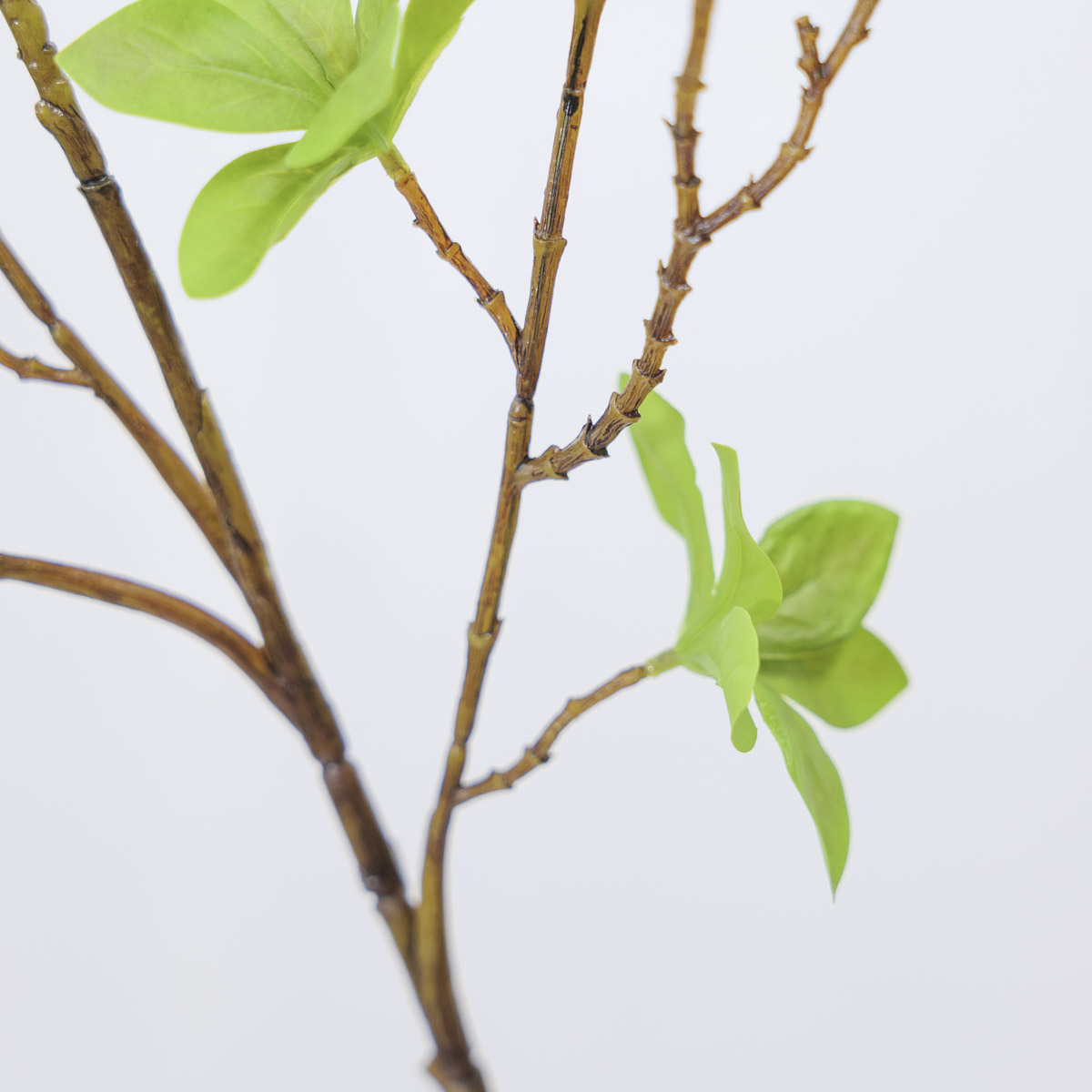 조화식물 엔키안투스 나무 가지 110cm 잔줄기디테일