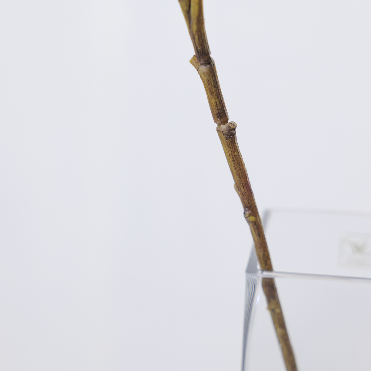  ȭ ī̼Ž 110cm ȭ ׸ ٻ  ǰ ̹ 