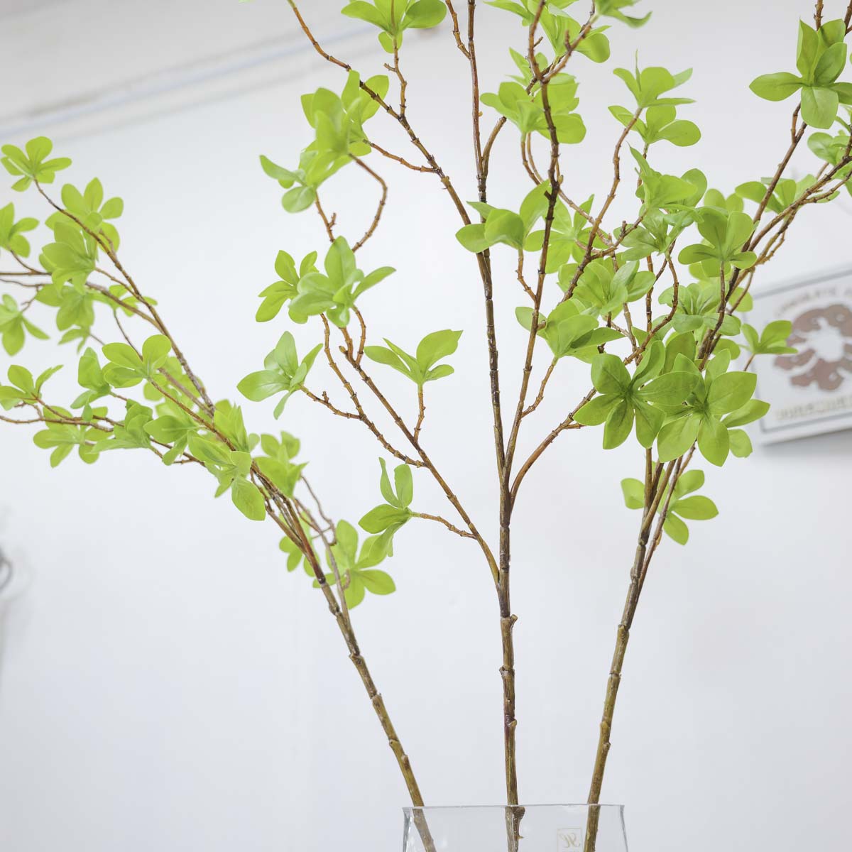 조화식물 엔키안투스 나무 가지 110cm, 엔카이셔스 잎사귀 그린조화 상품 다중이미지 썸네일