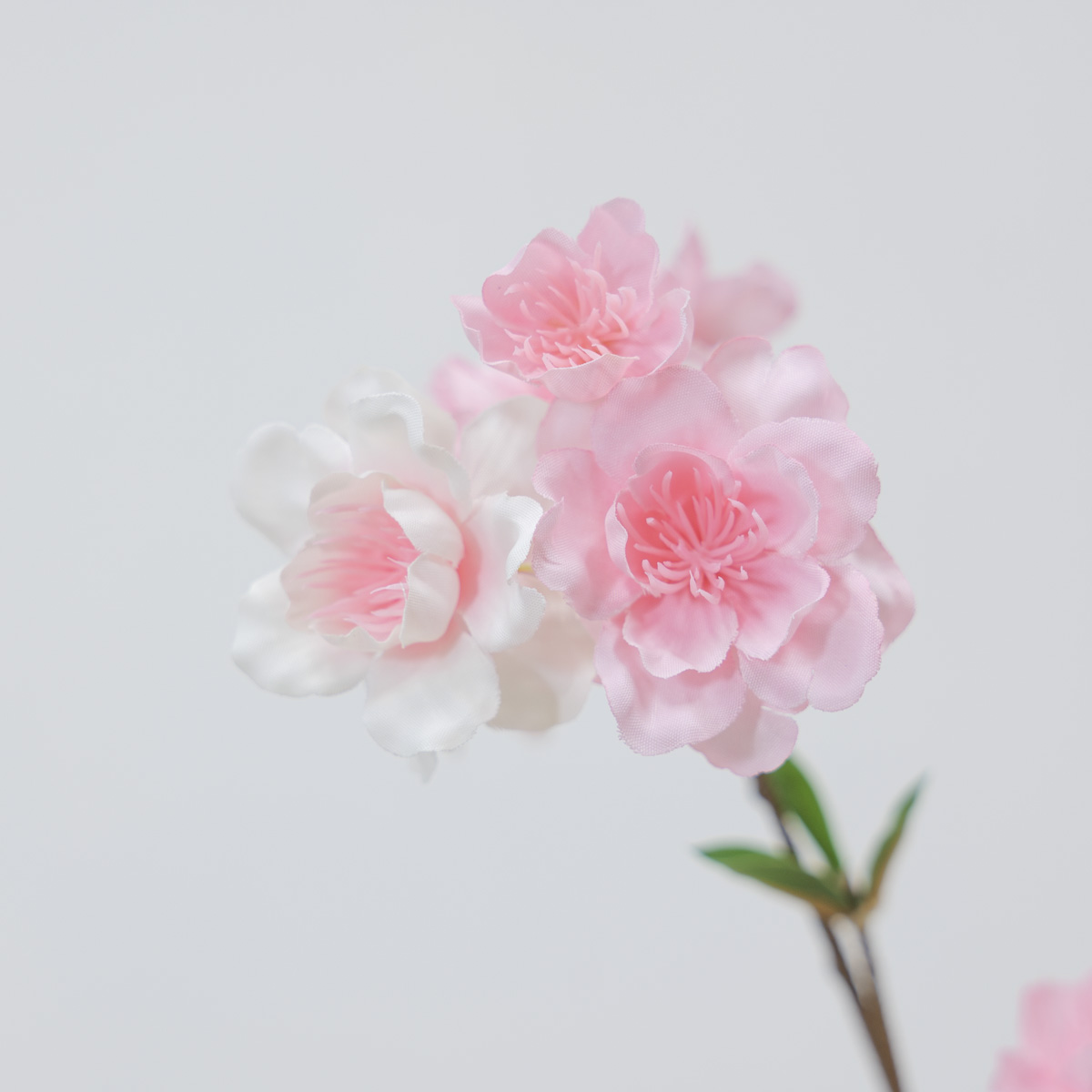 실크플라워 리얼 벚꽃 브렌치 100cm 다크핑크 꽃송이디테일