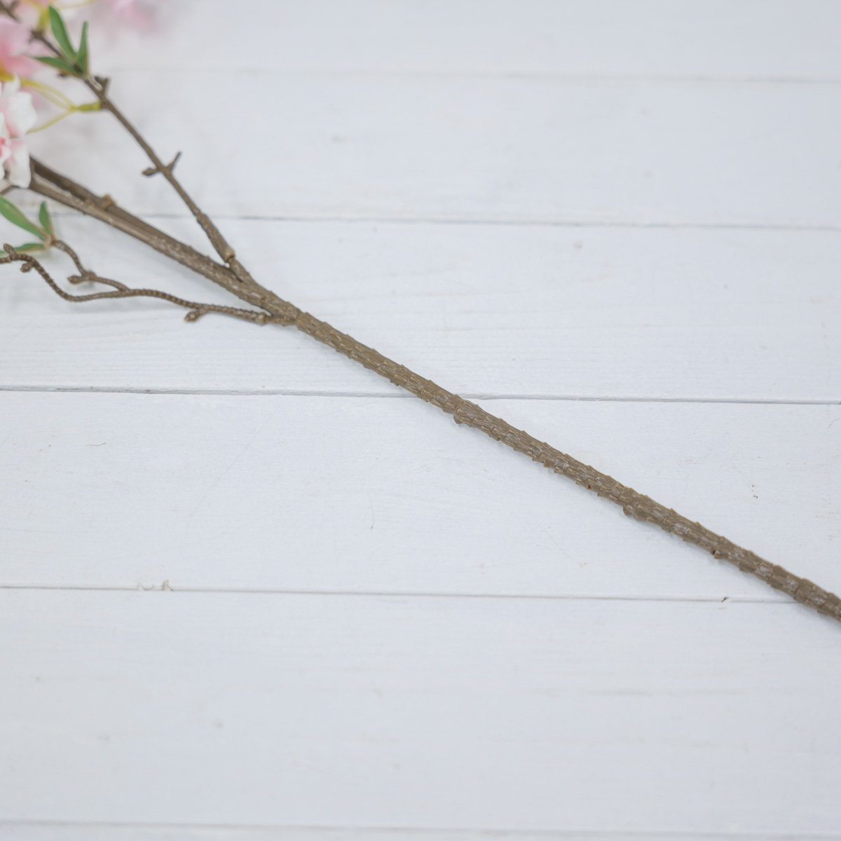 ũö ȭ  㺢  100cm ٱ  